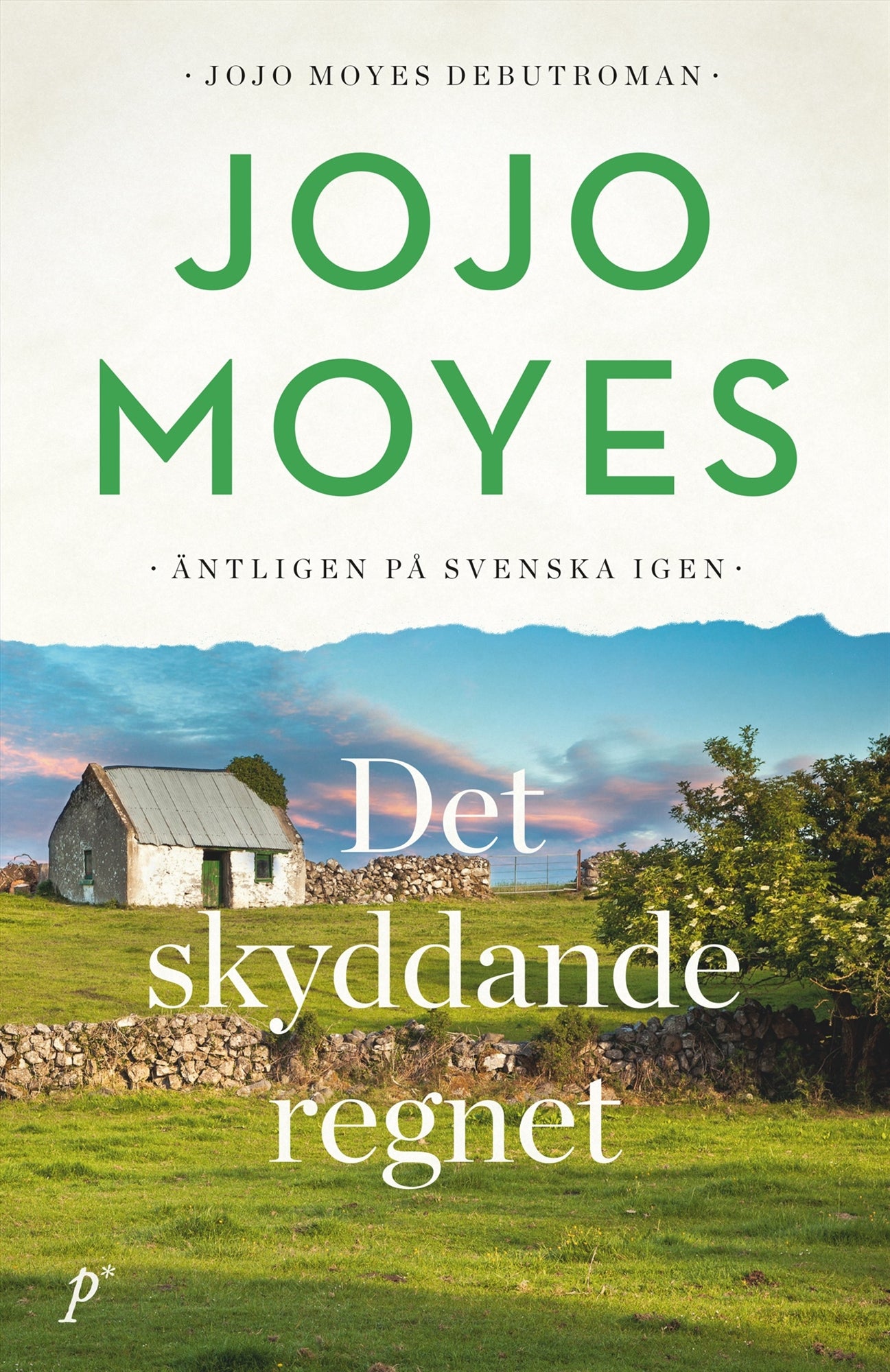 Det skyddande regnet – E-bok