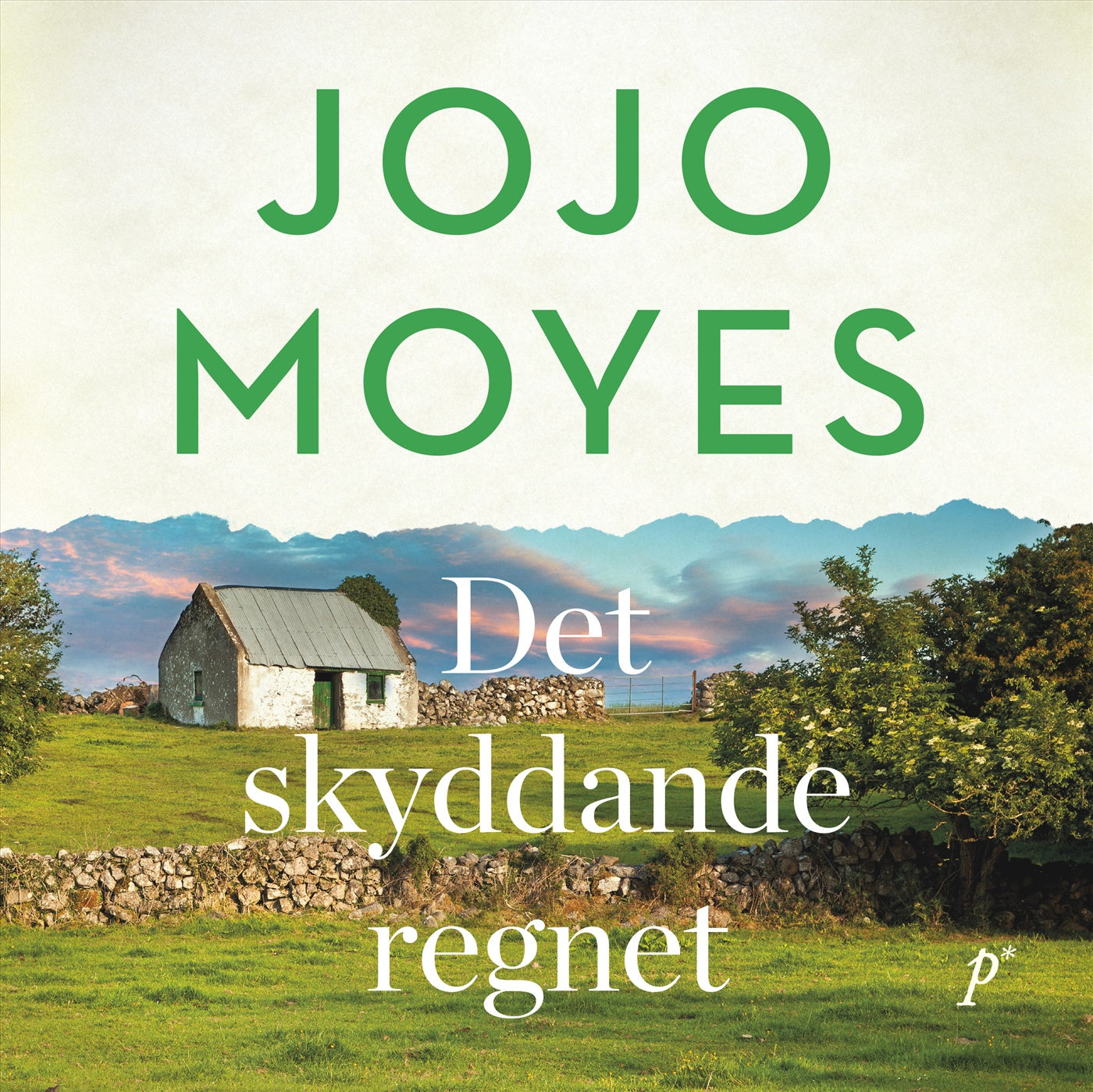 Det skyddande regnet – Ljudbok