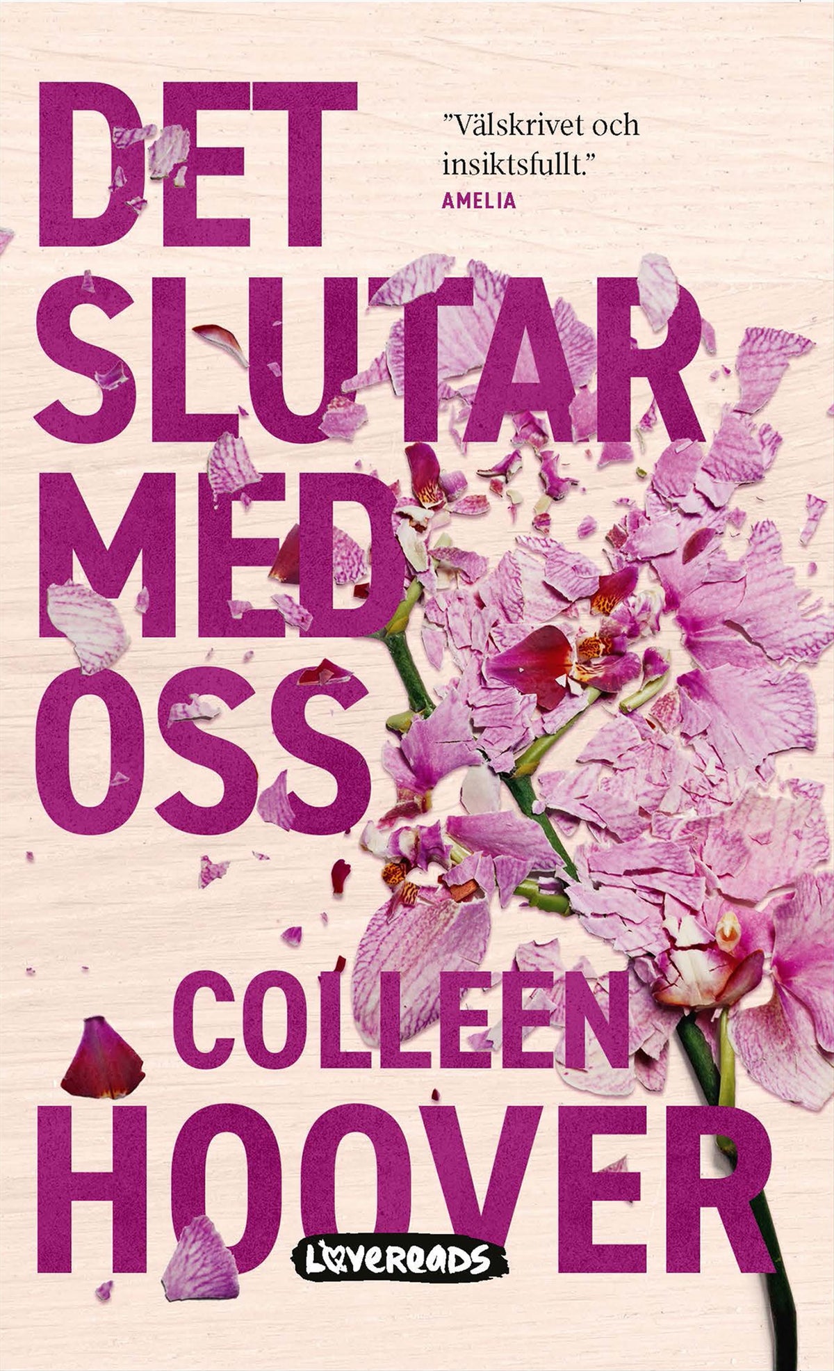 Det slutar med oss – E-bok