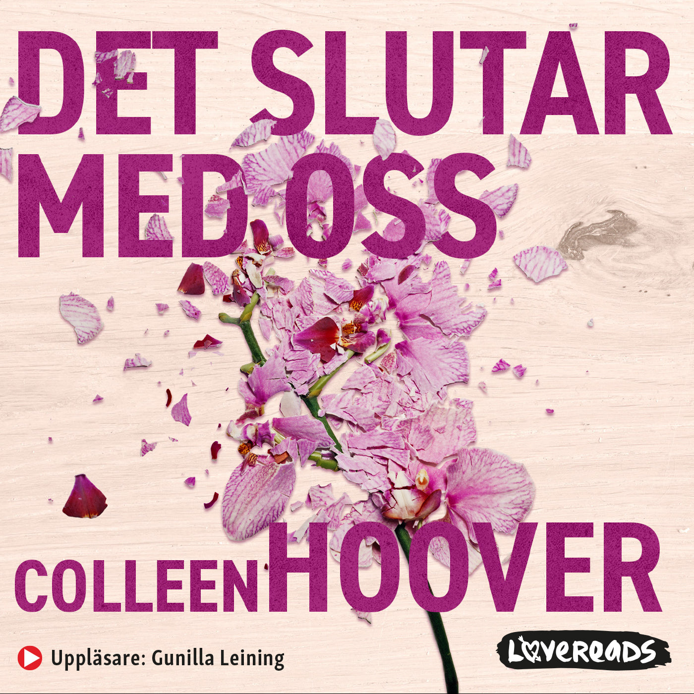 Det slutar med oss – Ljudbok