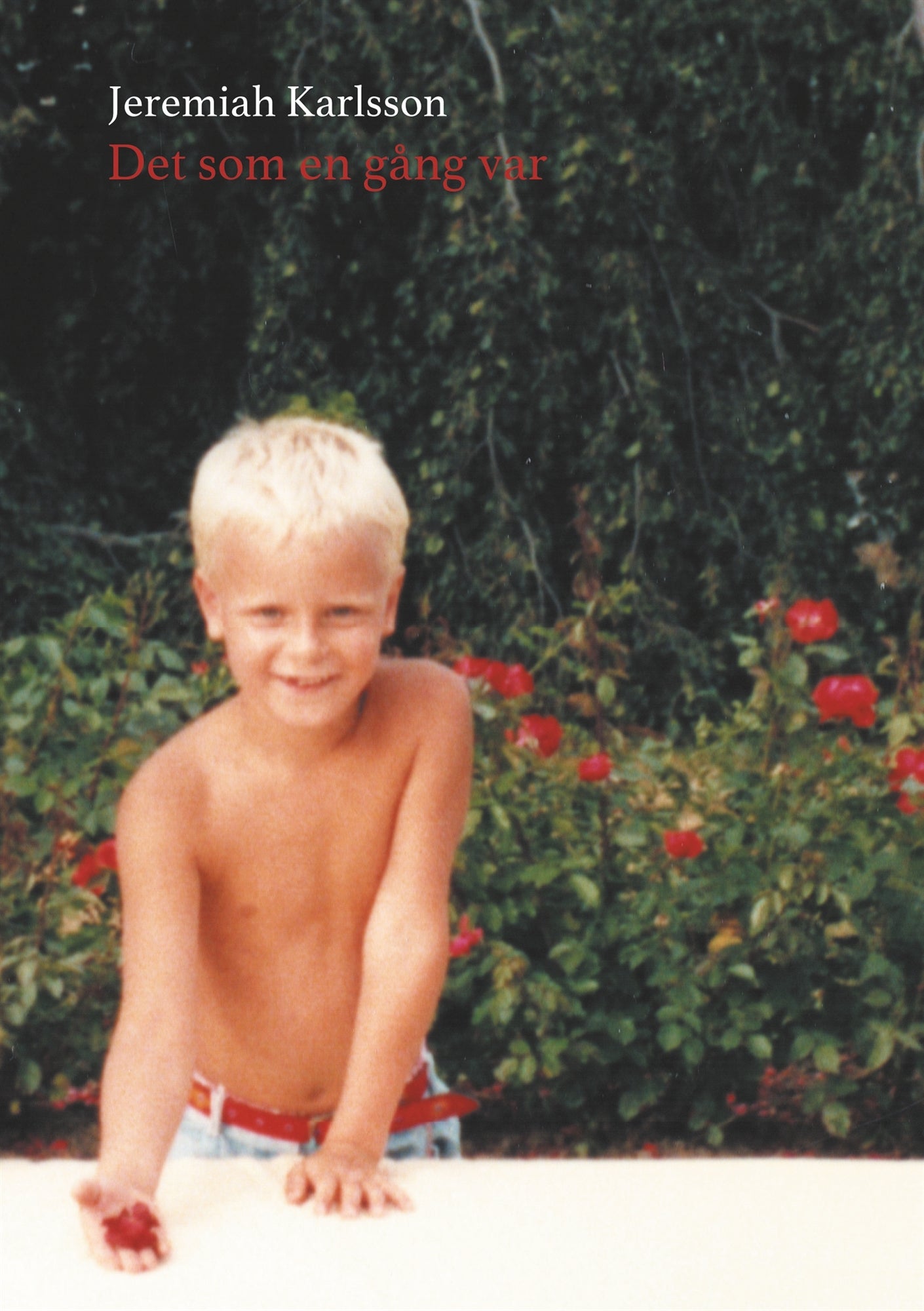 Det som en gång var: Lyrik – E-bok