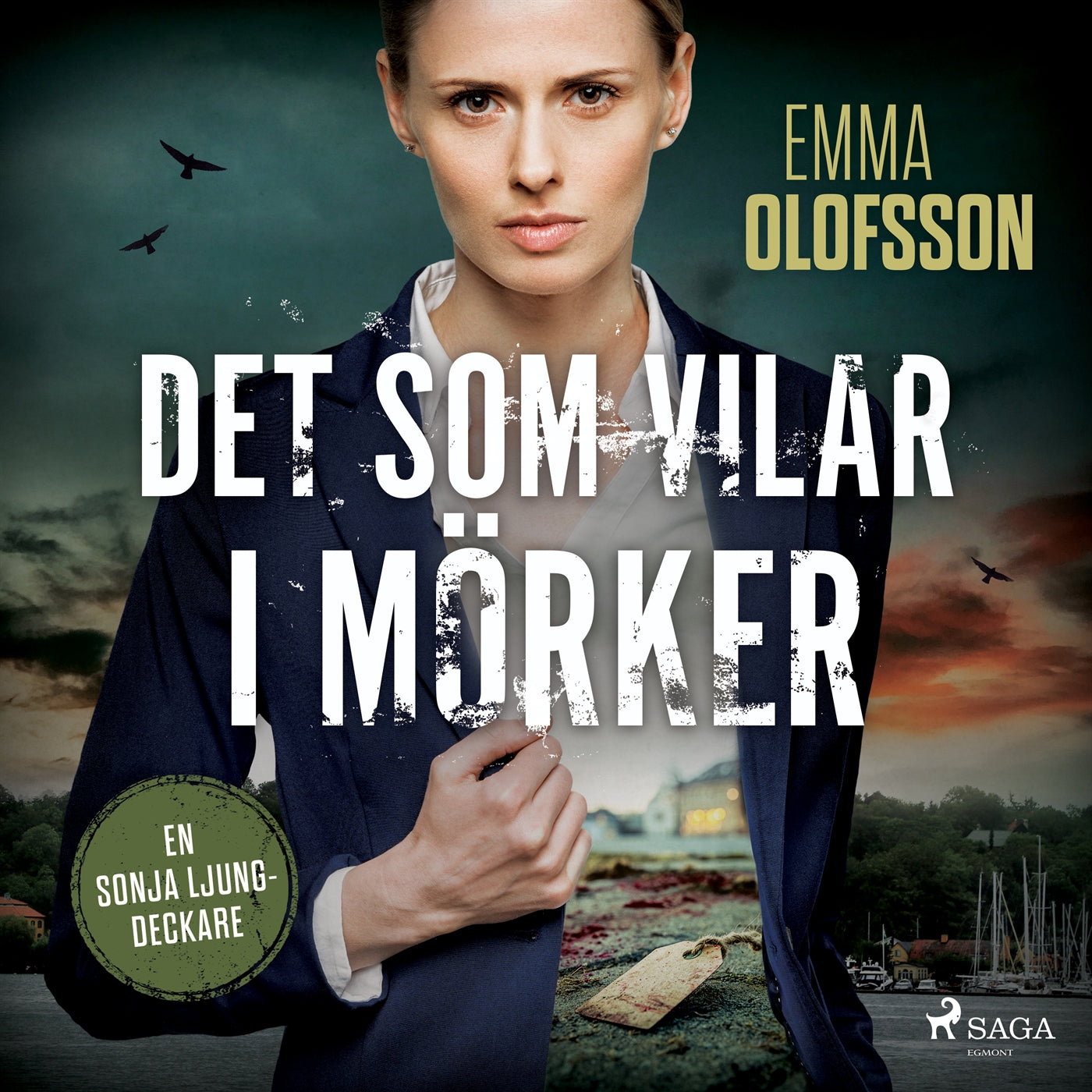 Det som vilar i mörker – Ljudbok