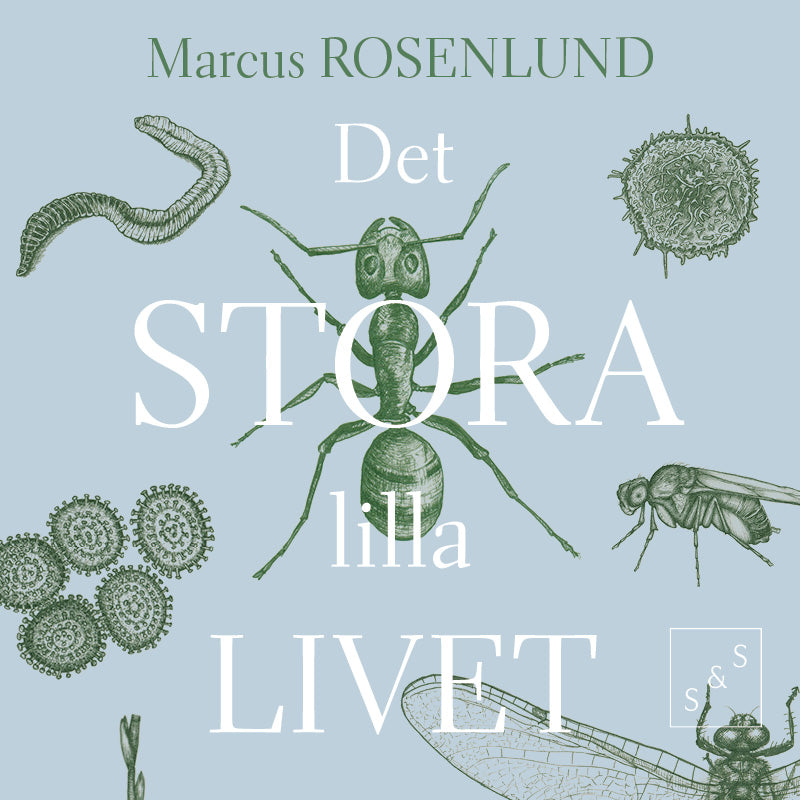 Det stora lilla livet – Ljudbok