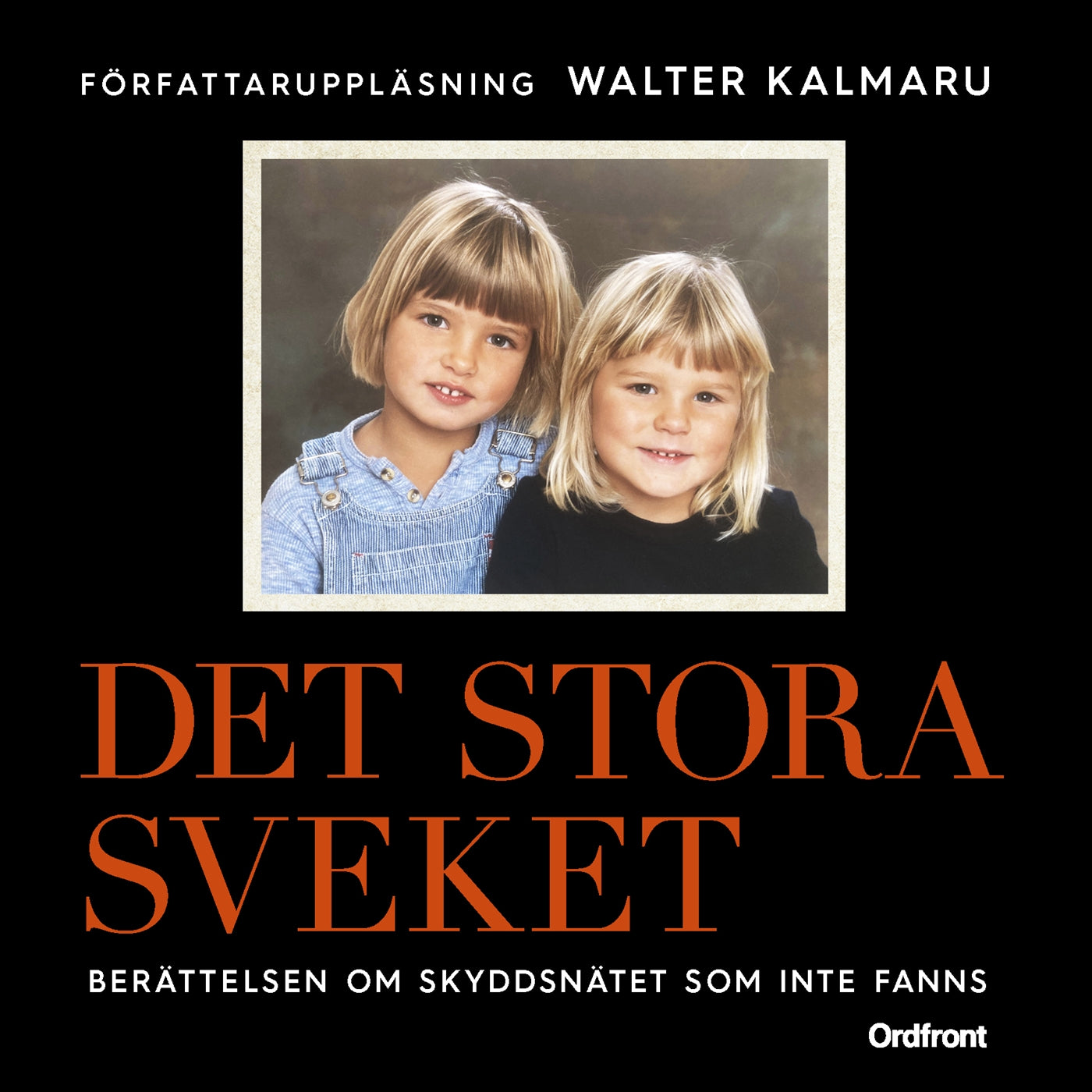 Det stora sveket: Berättelsen om skyddsnätet som inte fanns – Ljudbok