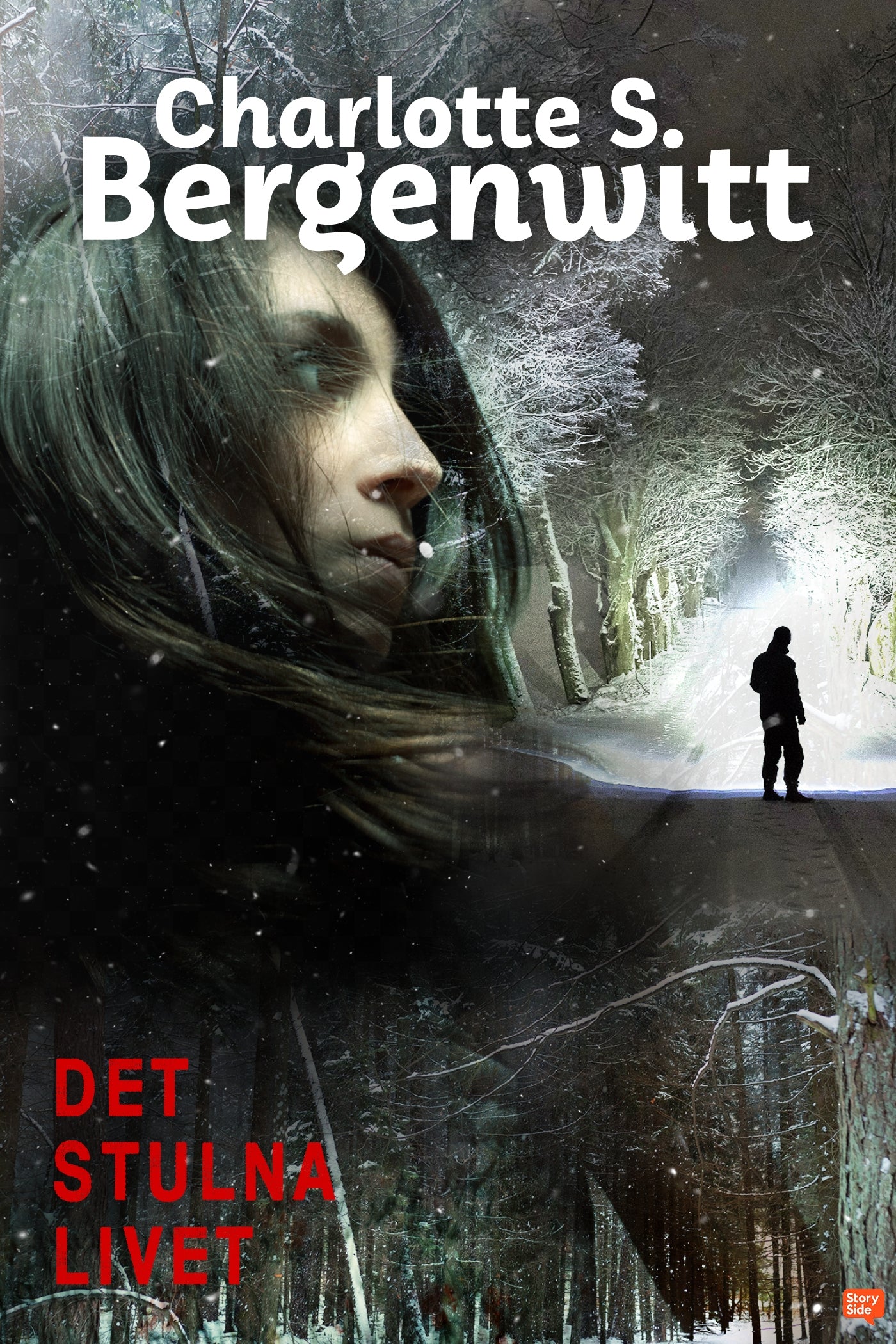 Det stulna livet – E-bok