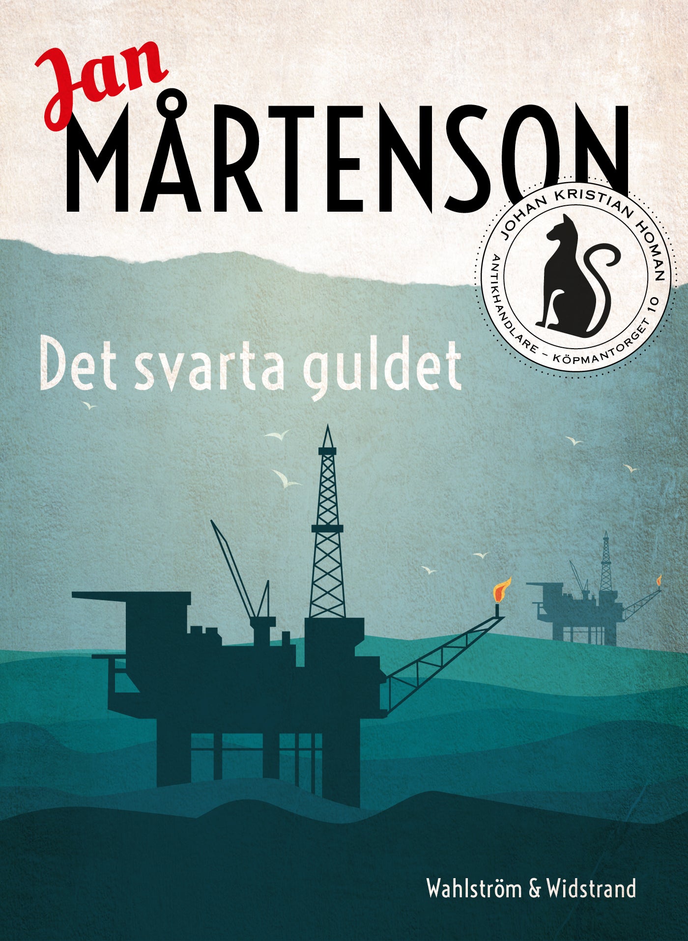 Det svarta guldet – E-bok