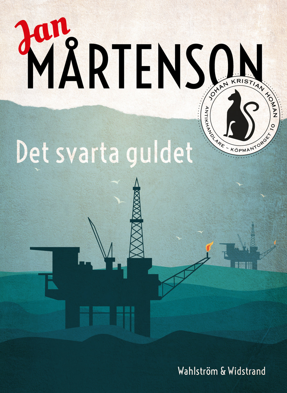 Det svarta guldet – E-bok
