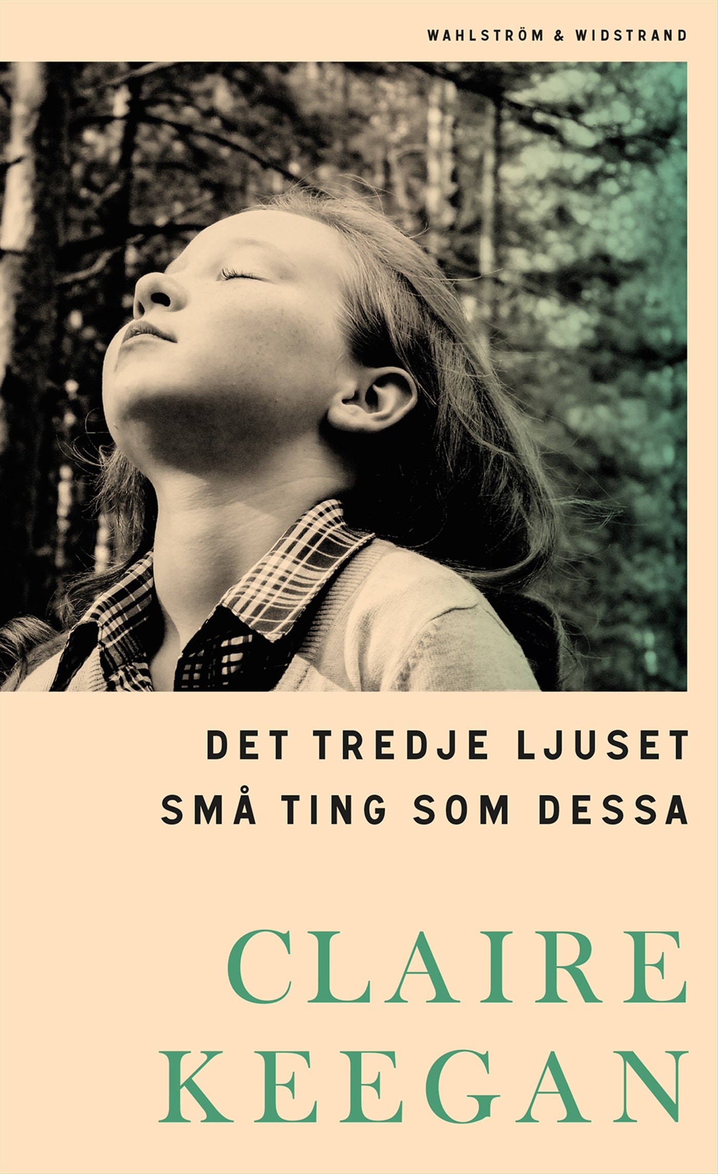 Det tredje ljuset ; Små ting som dessa – E-bok