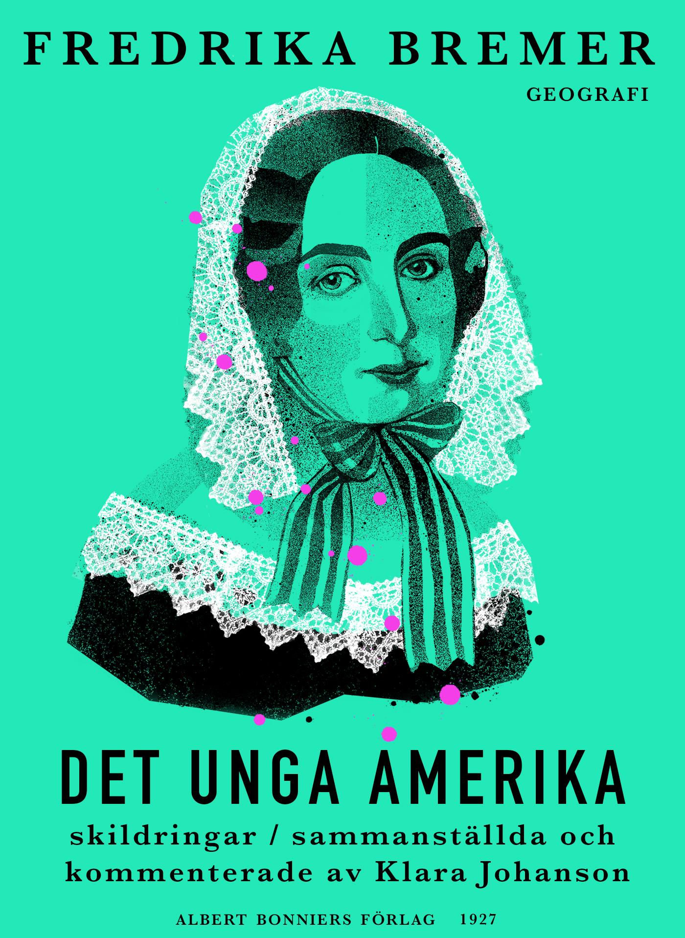 Det unga Amerika : skildringar – E-bok