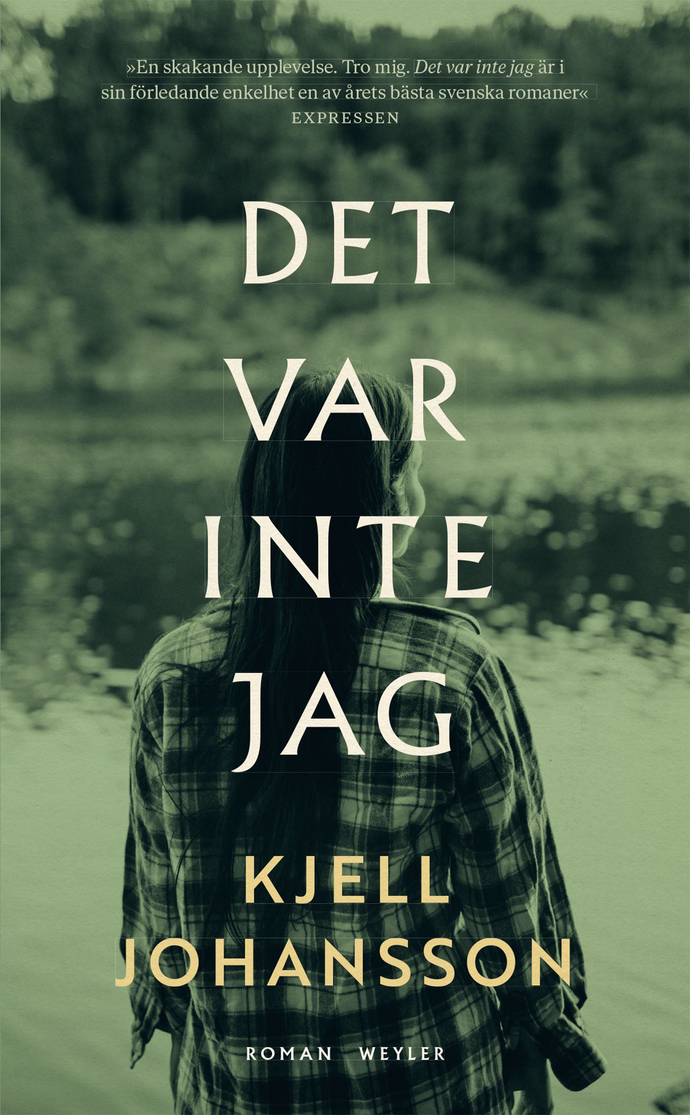 Det var inte jag – E-bok