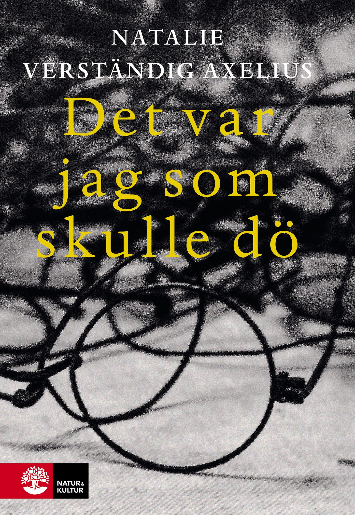 Det var jag som skulle dö – E-bok