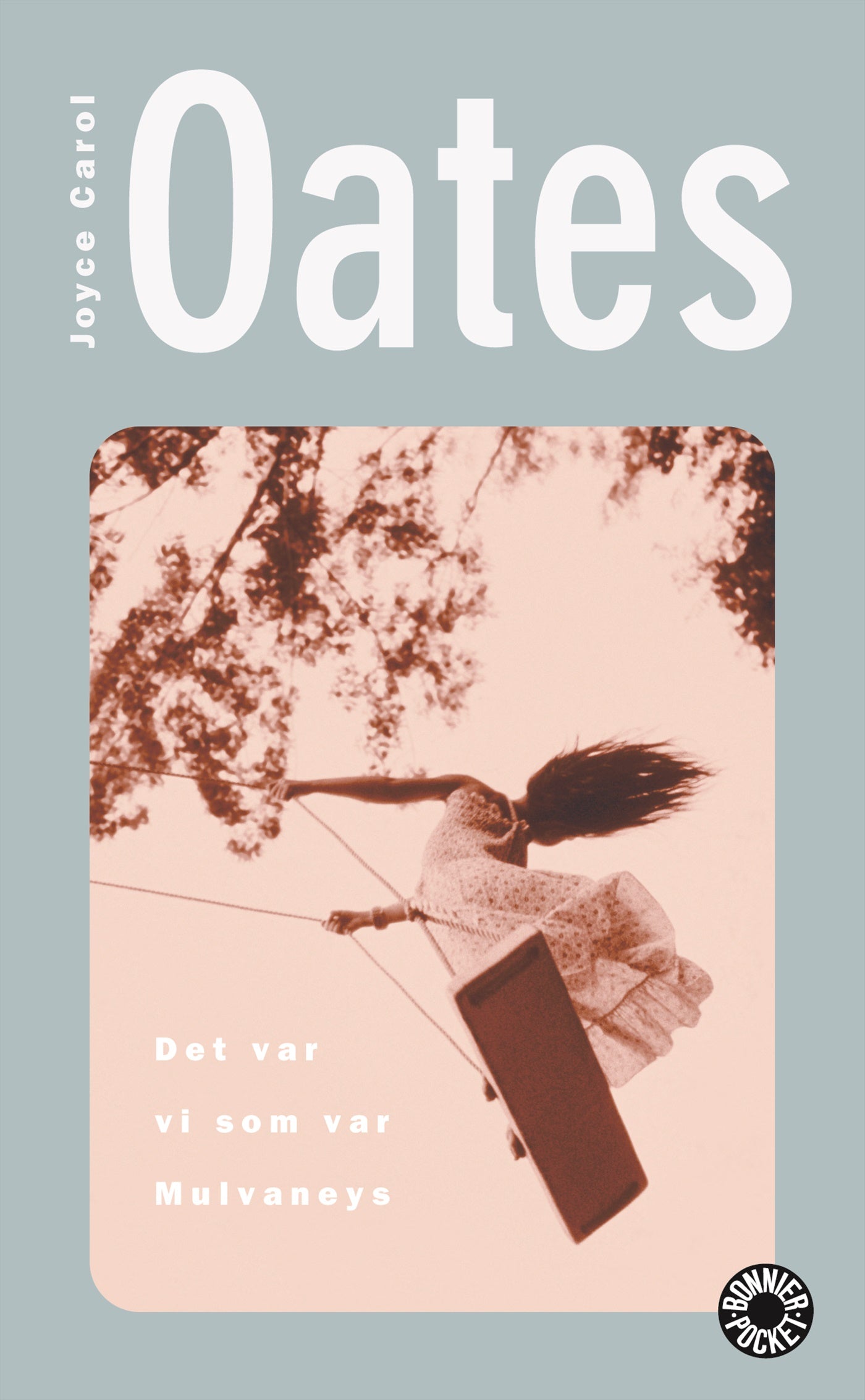 Det var vi som var Mulvaneys – E-bok