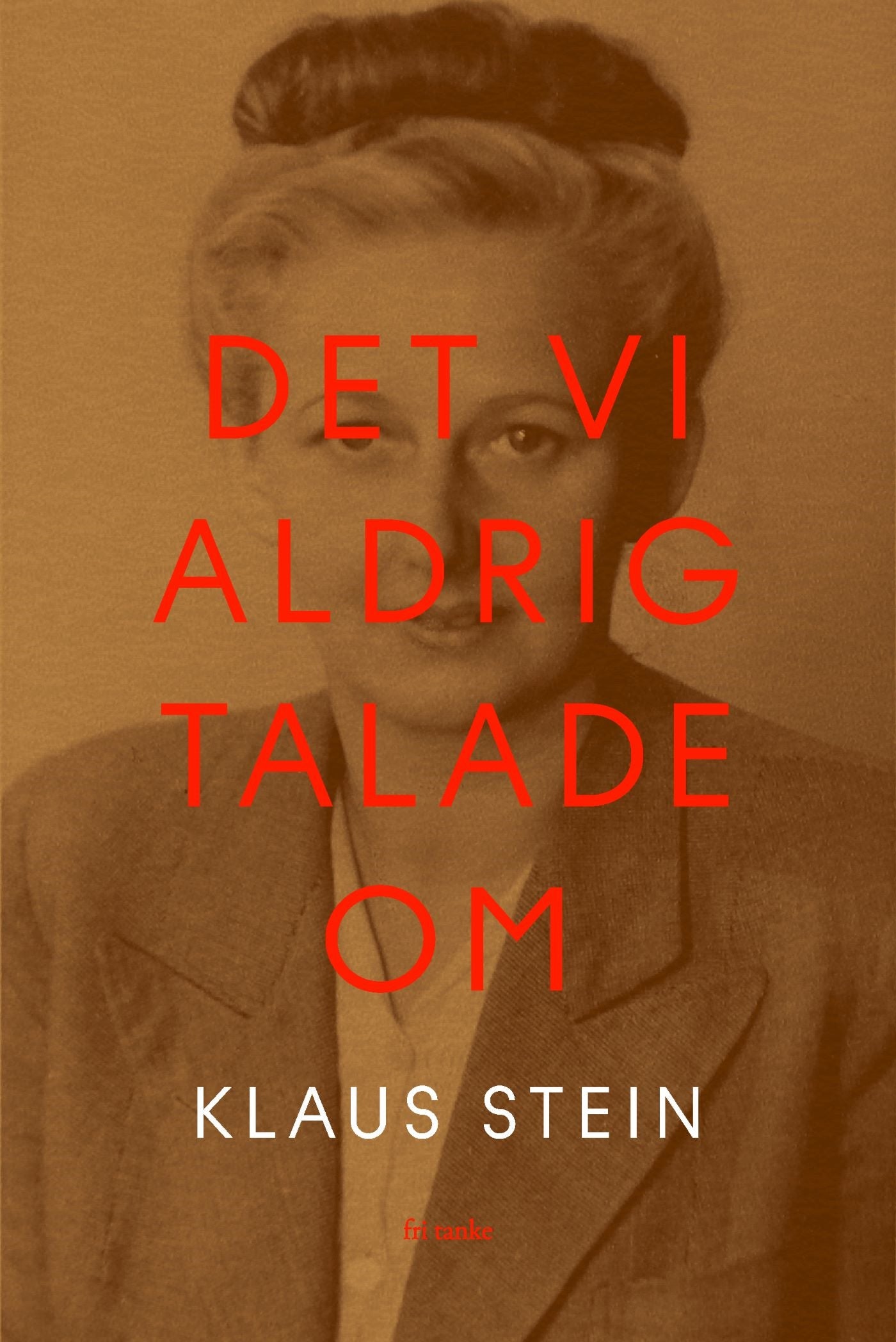 Det vi aldrig talade om – E-bok
