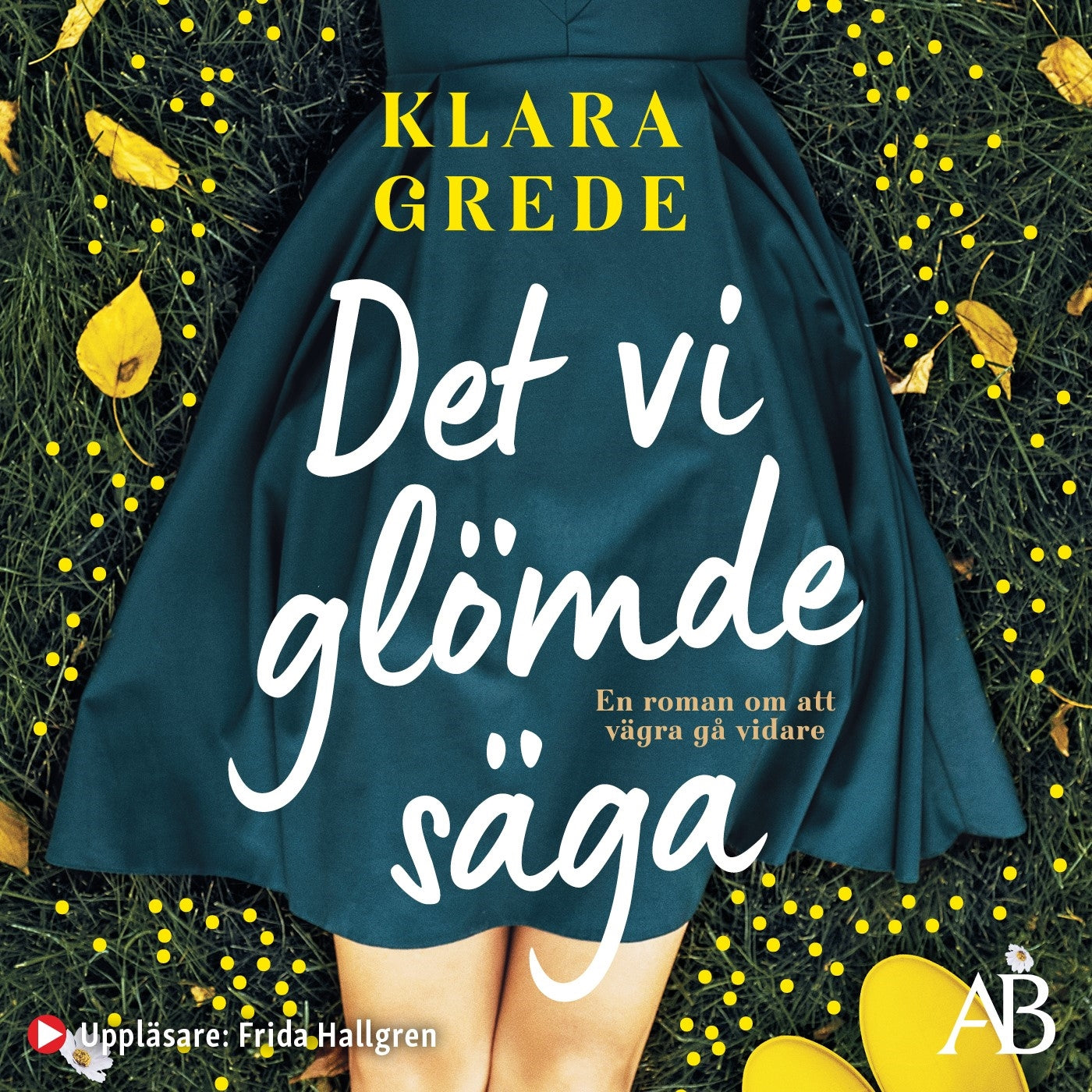 Det vi glömde säga – Ljudbok
