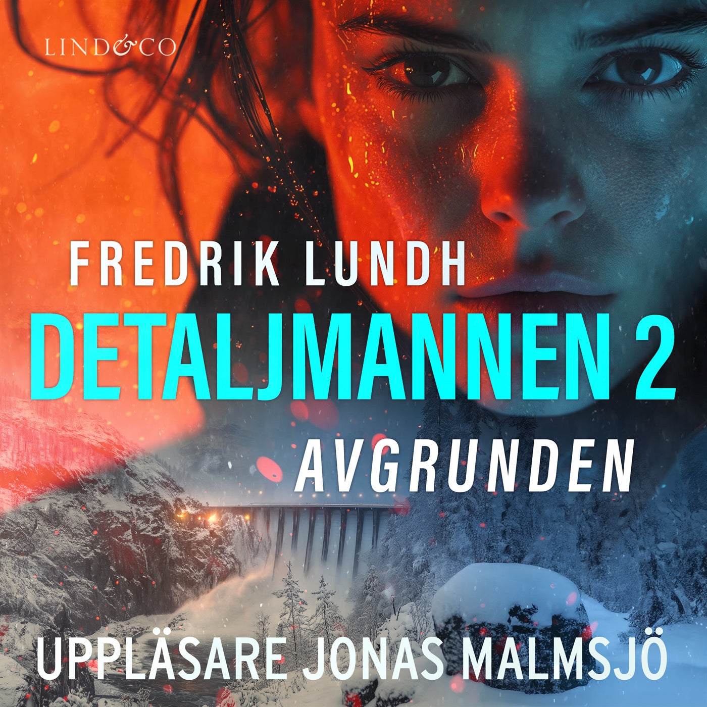 Detaljmannen 2 : Avgrunden – Ljudbok