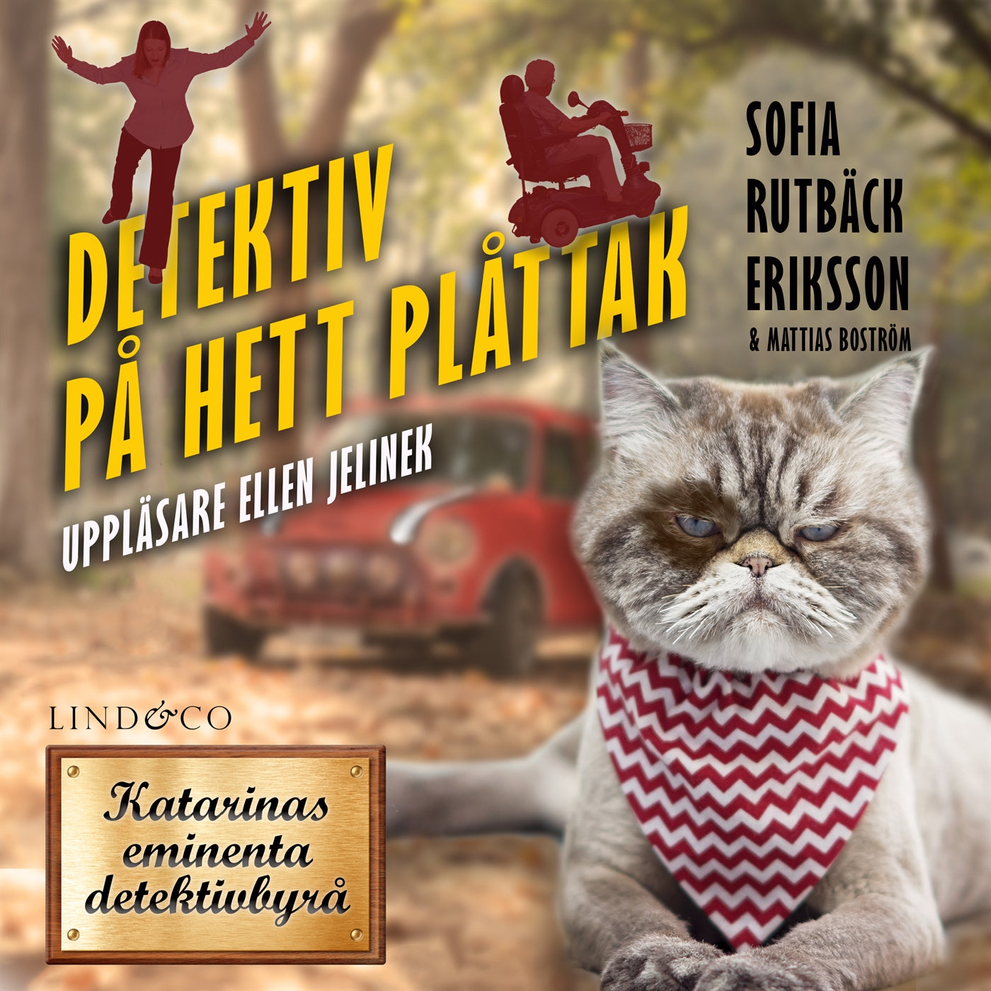 Detektiv på hett plåttak – Ljudbok