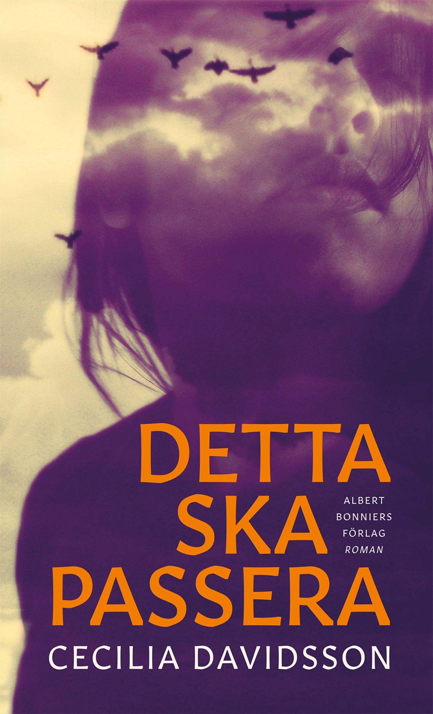 Detta ska passera – E-bok