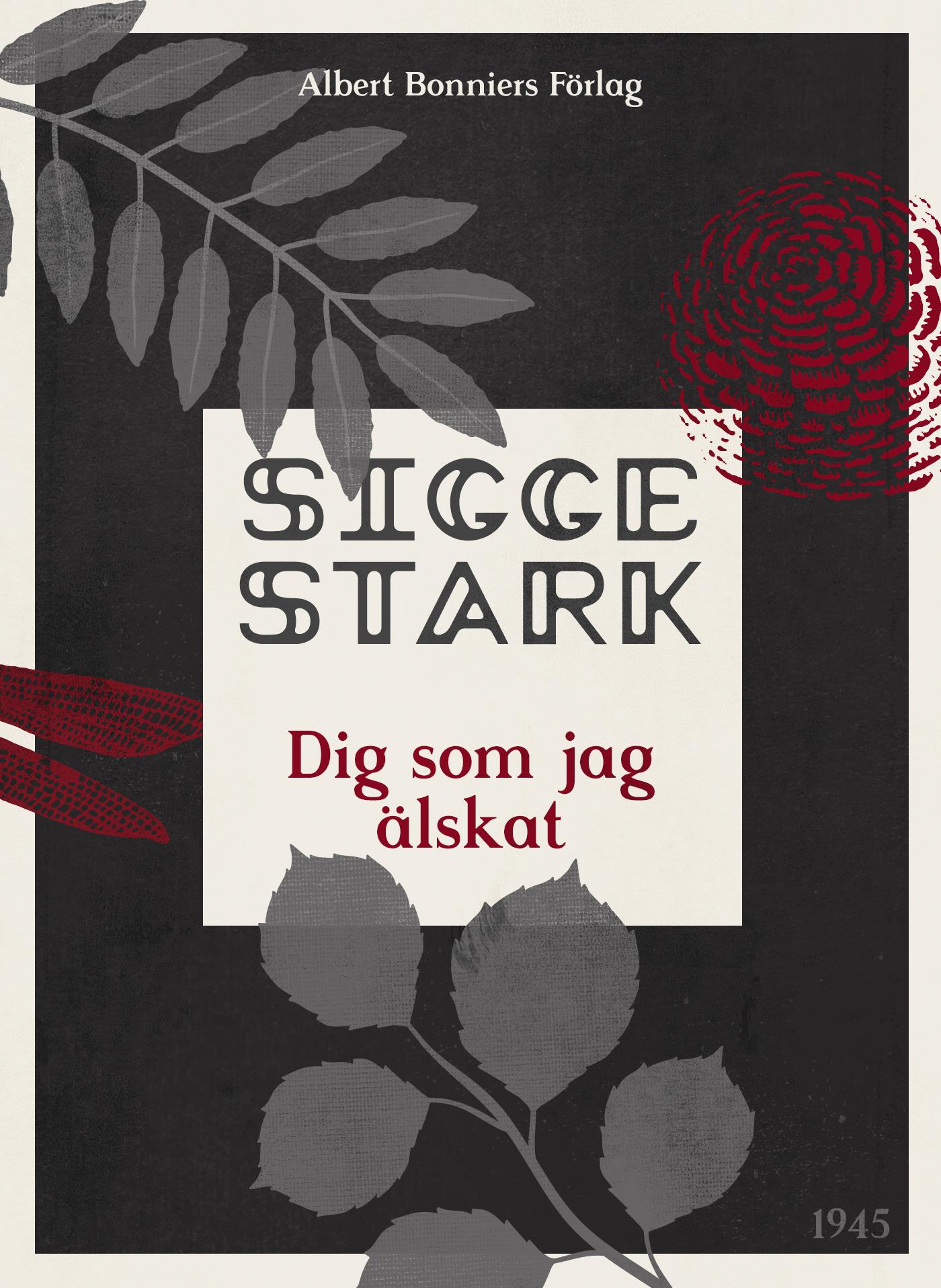 Dig som jag älskat – E-bok