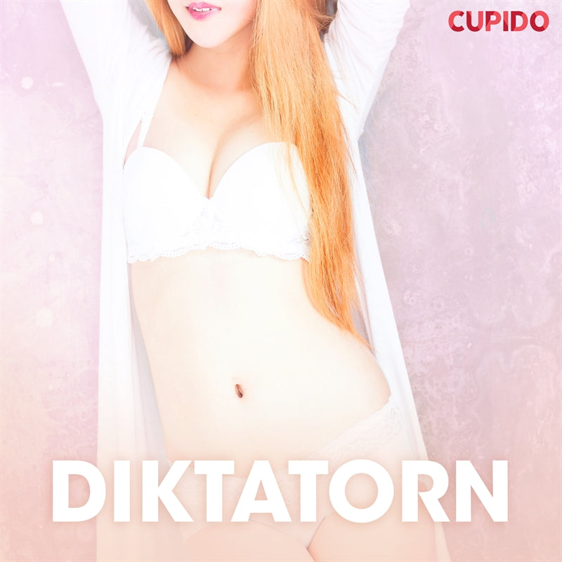 Diktatorn - erotiska noveller – Ljudbok