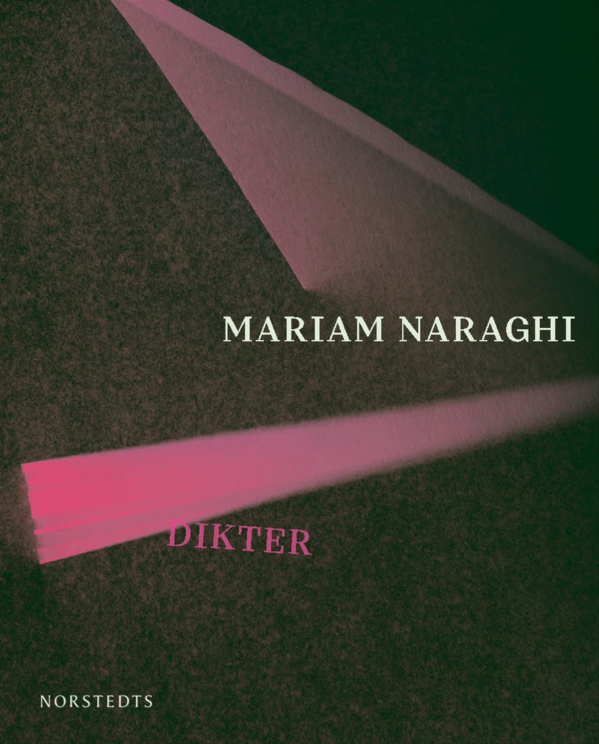 Dikter – E-bok