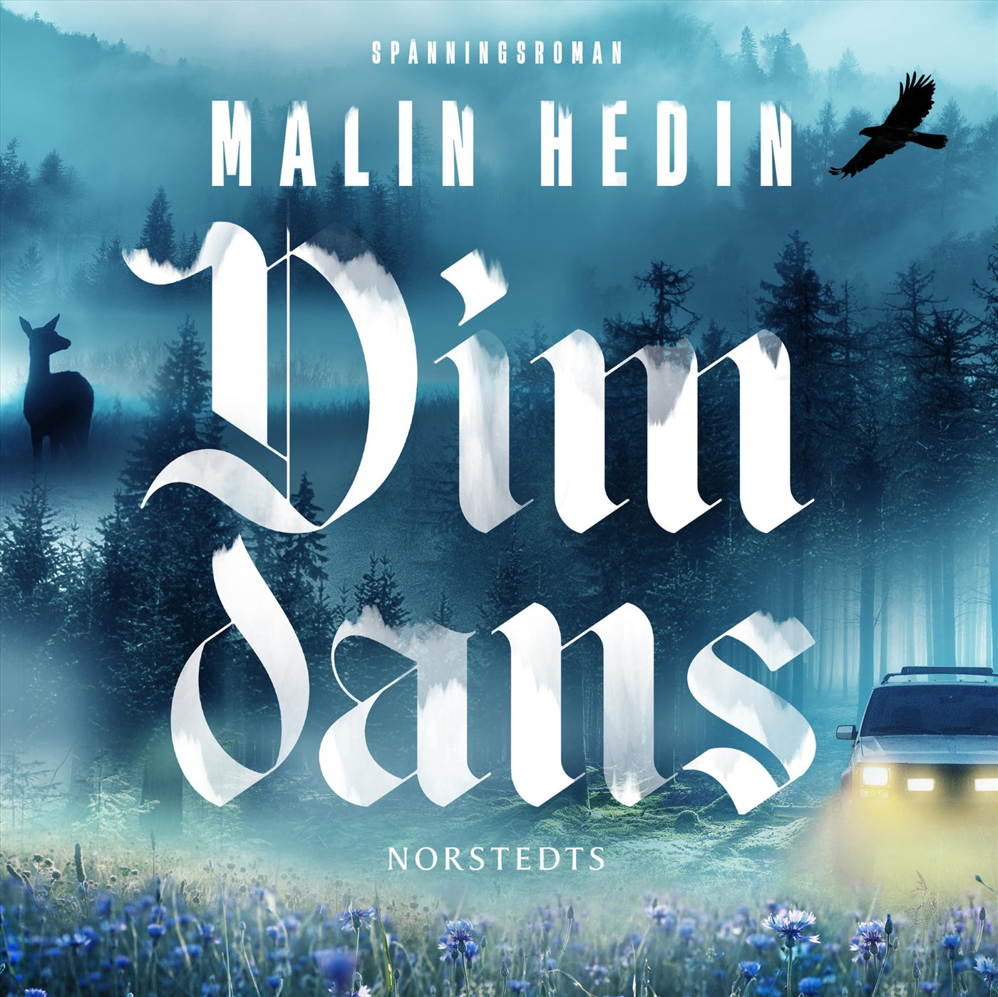 Dimdans – Ljudbok