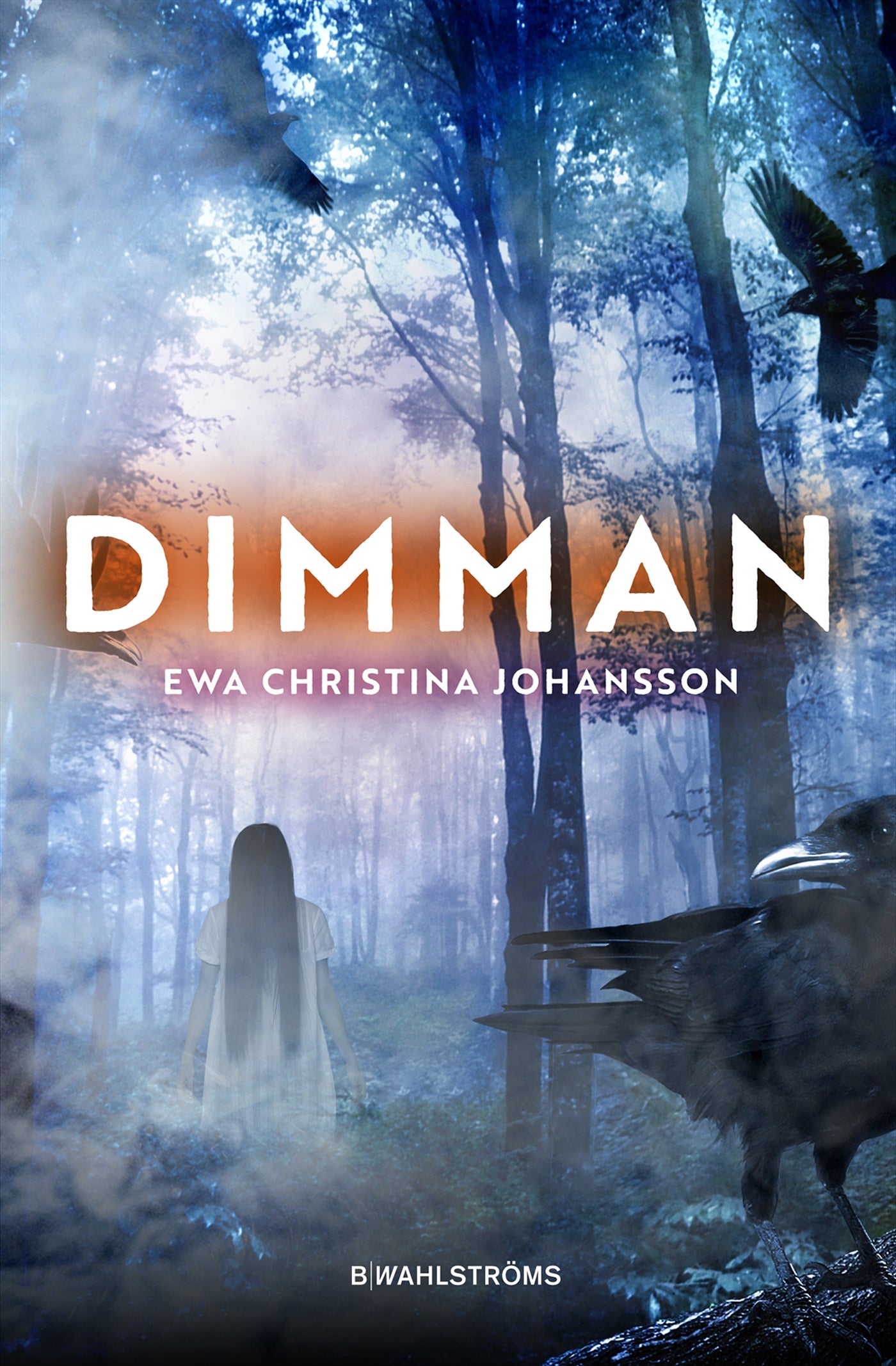 Dimman – E-bok
