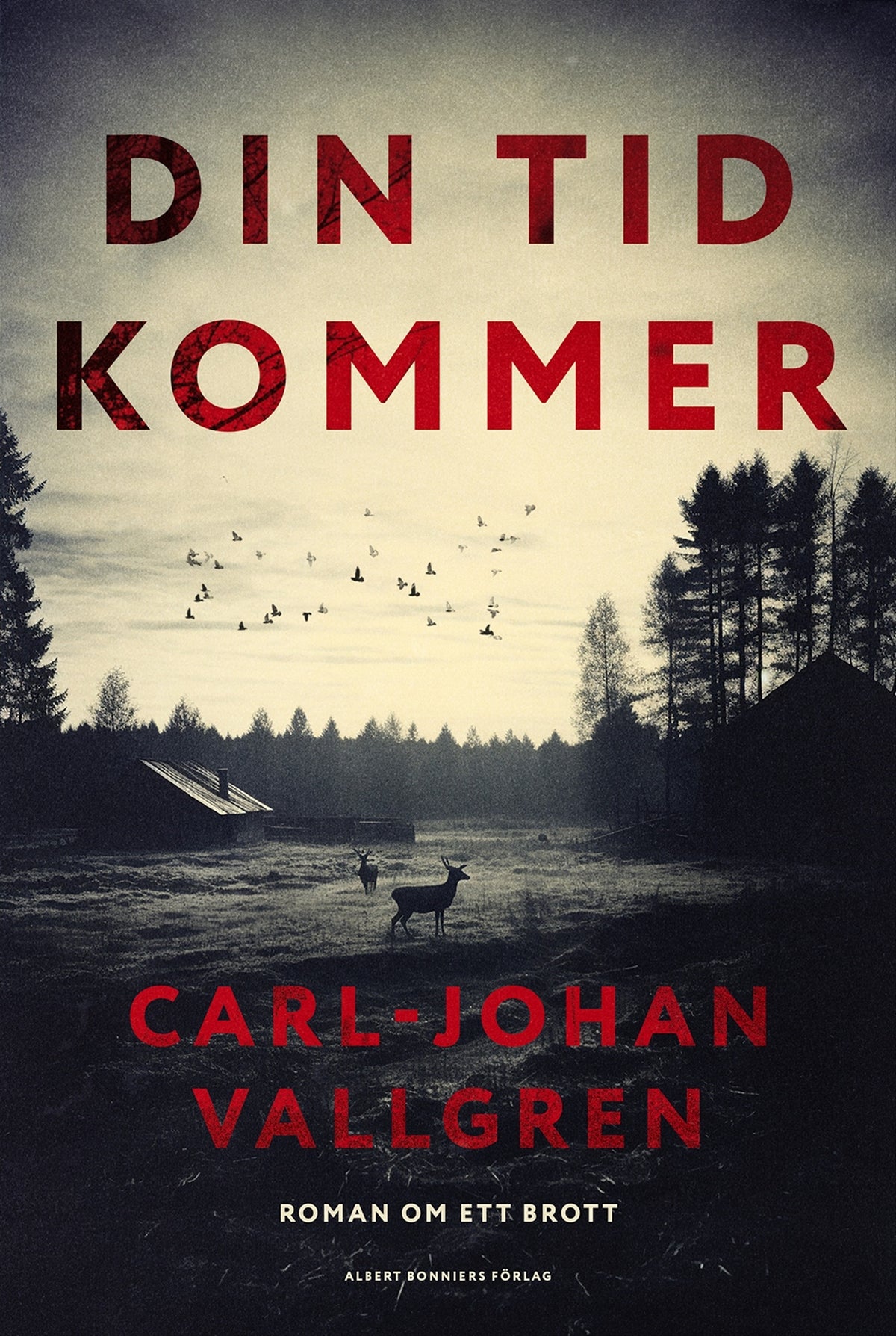 Din tid kommer – E-bok