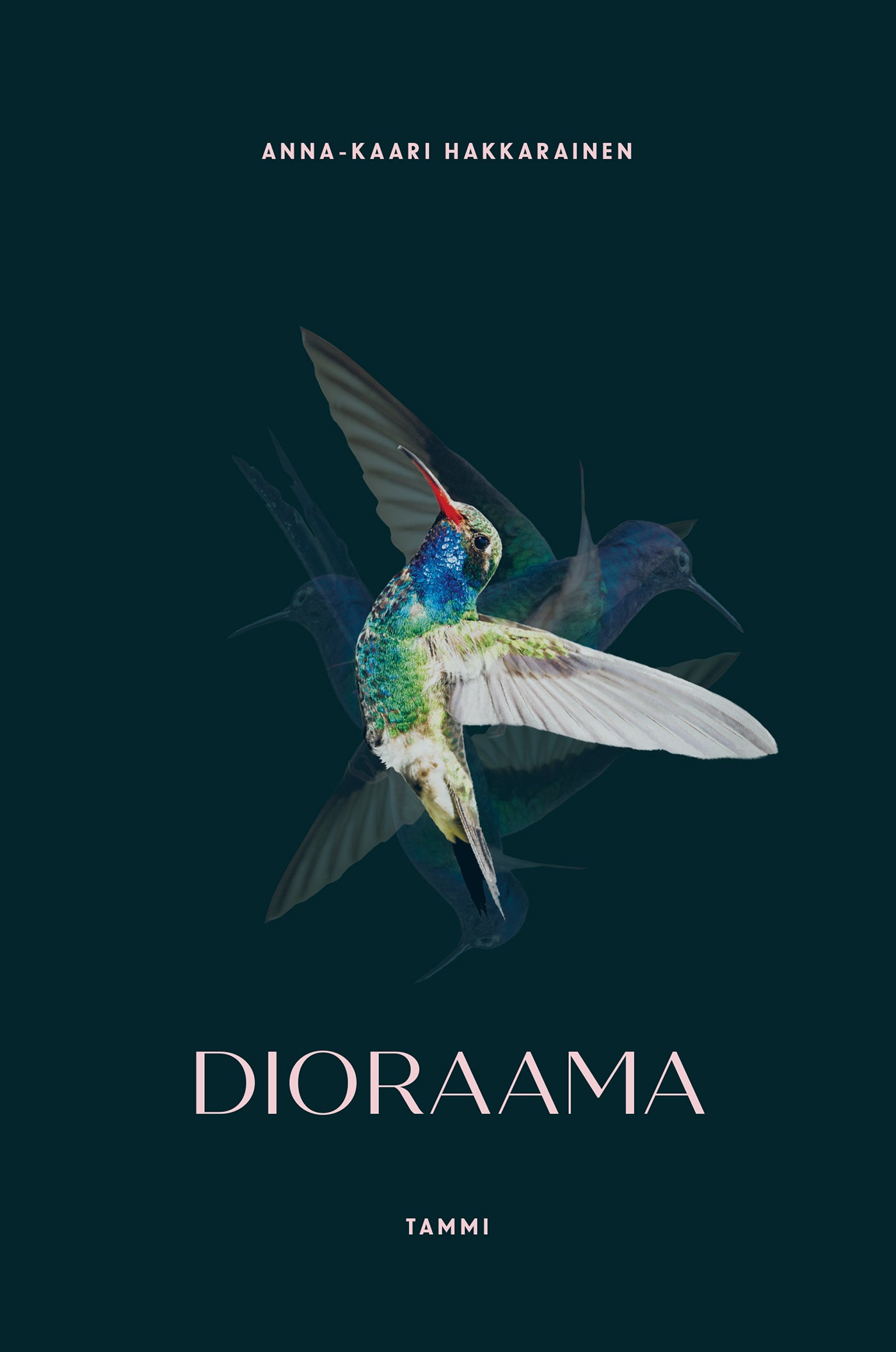 Dioraama – E-bok