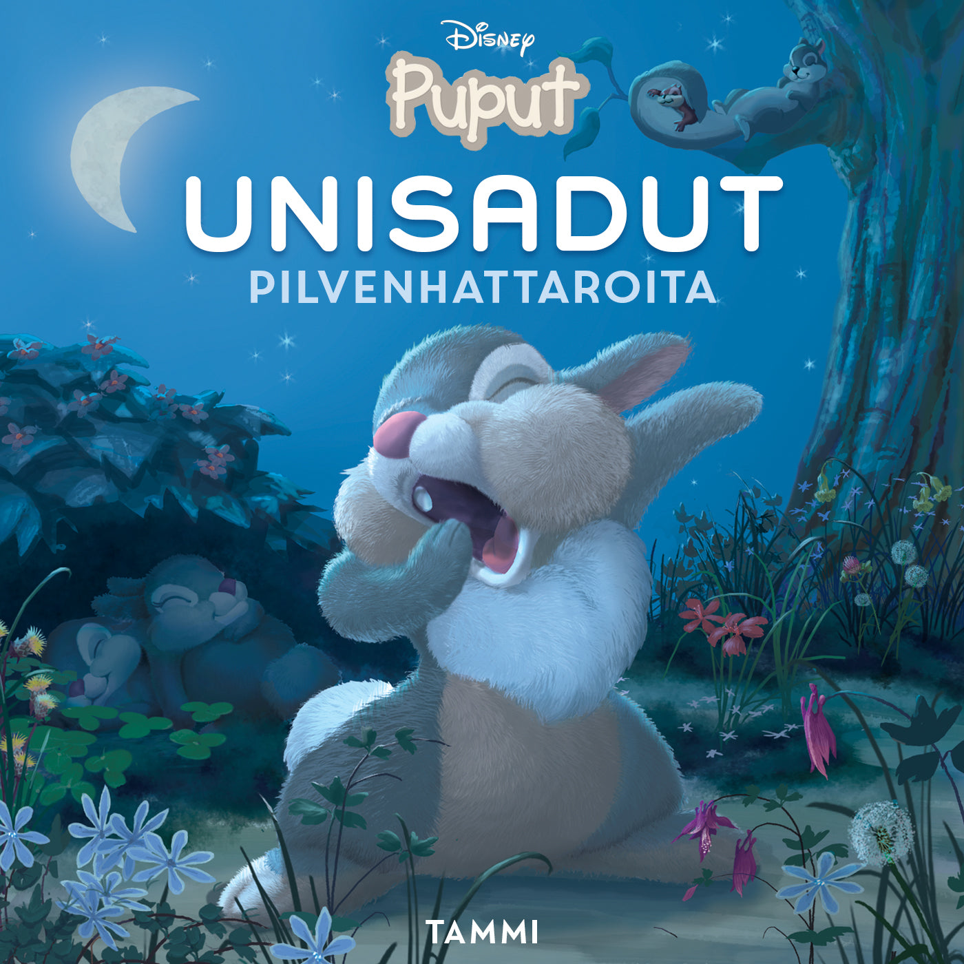 Disney Puput. Unisadut. Pilvenhattaroita – Ljudbok