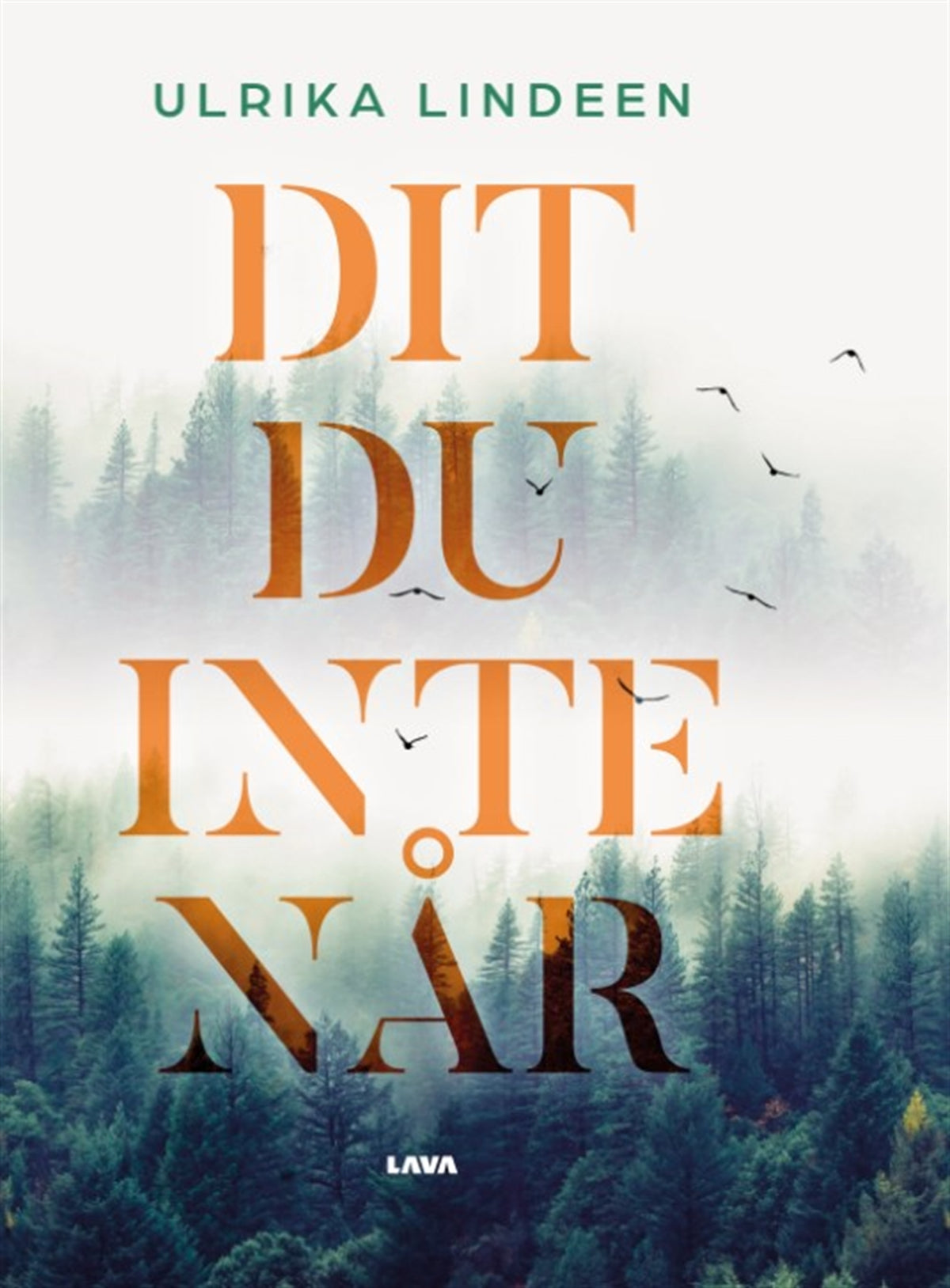 Dit du inte når – E-bok