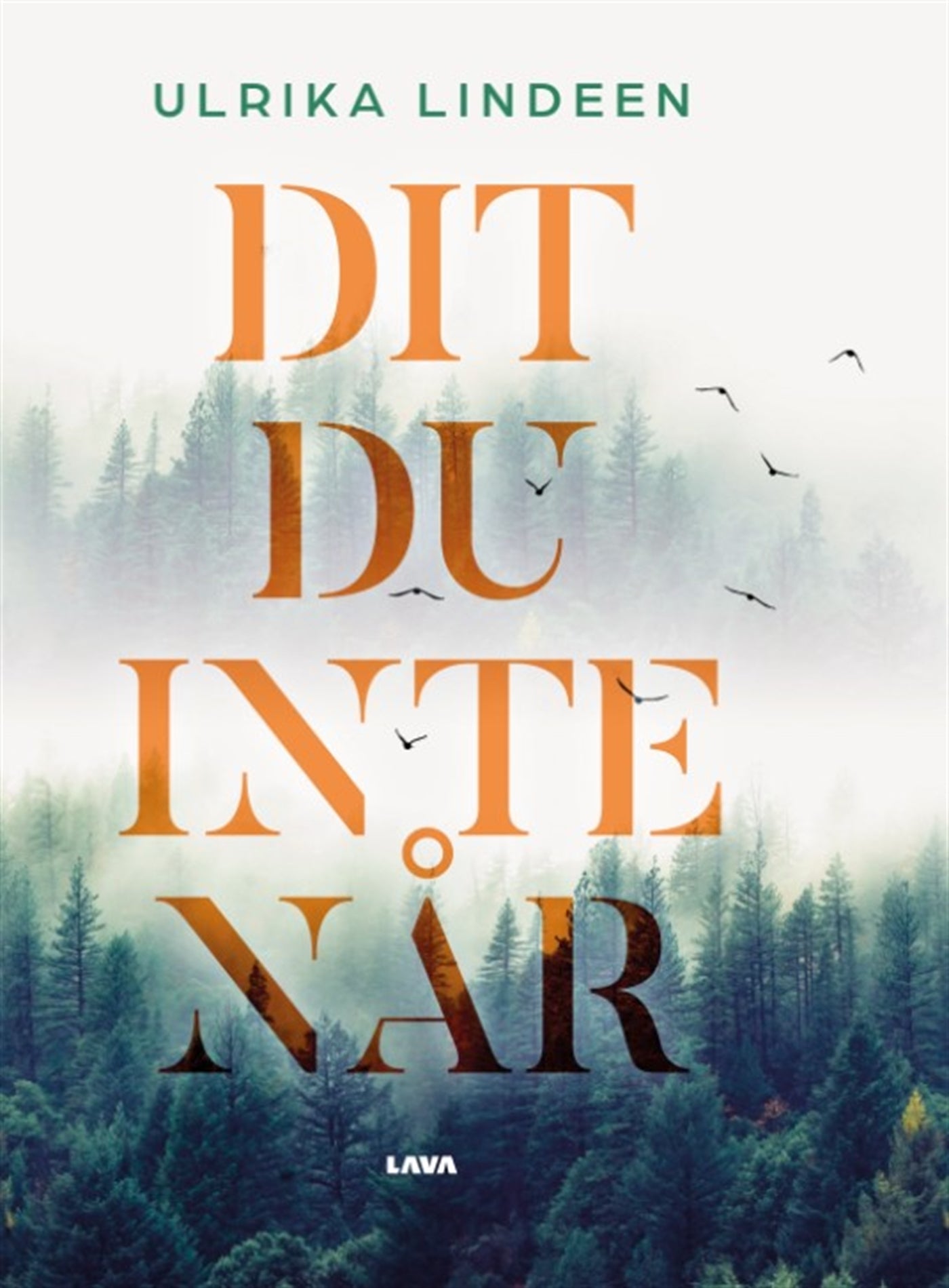 Dit du inte når – E-bok
