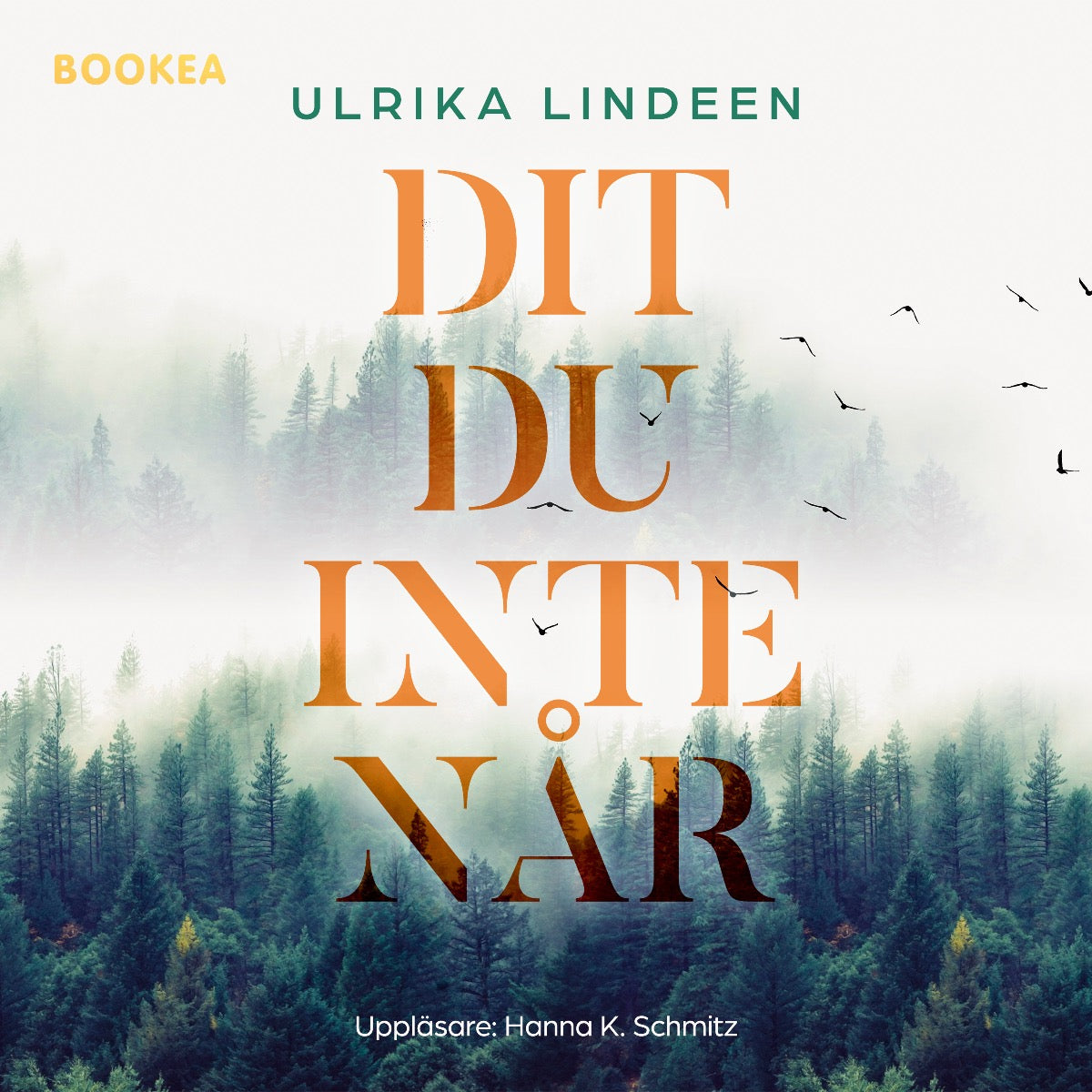 Dit du inte når – Ljudbok