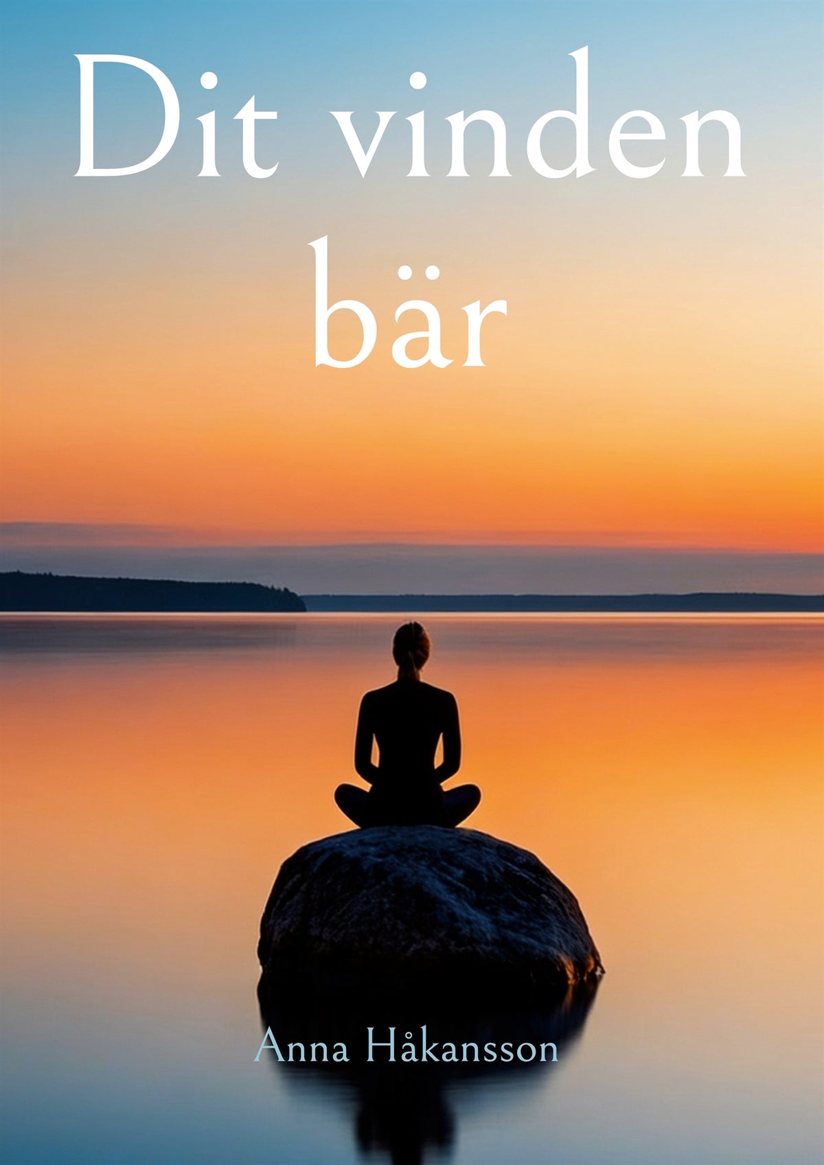 Dit vinden bär – E-bok
