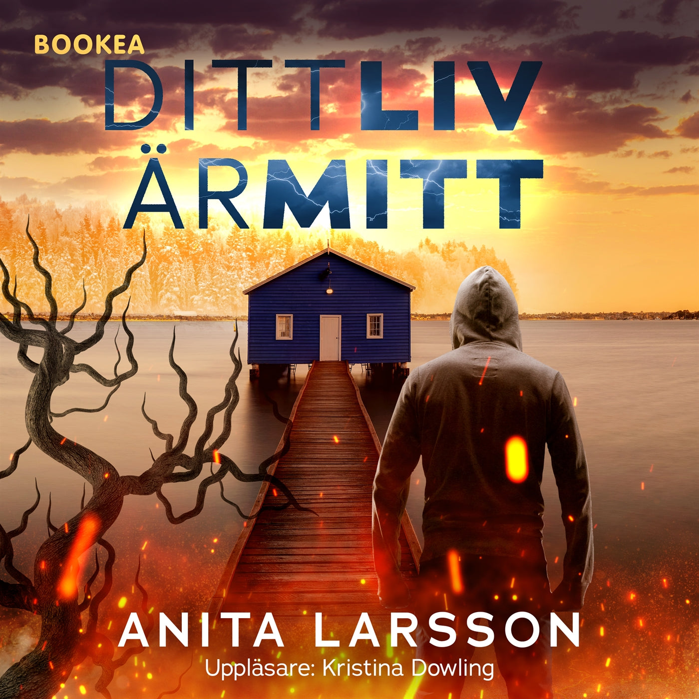 Ditt liv är mitt – Ljudbok