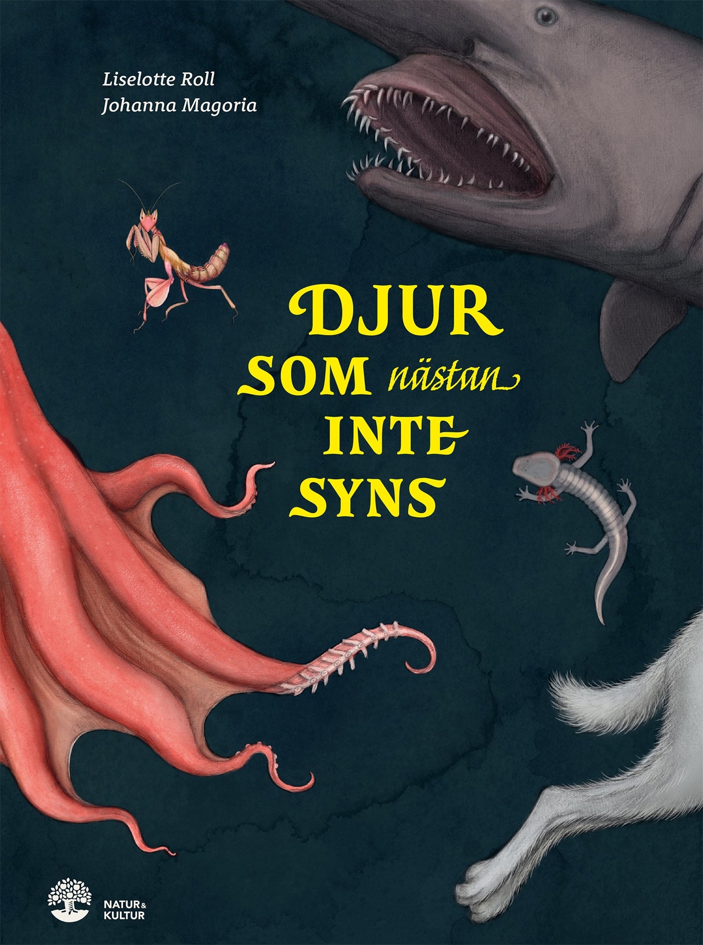 Djur som nästan inte syns – E-bok