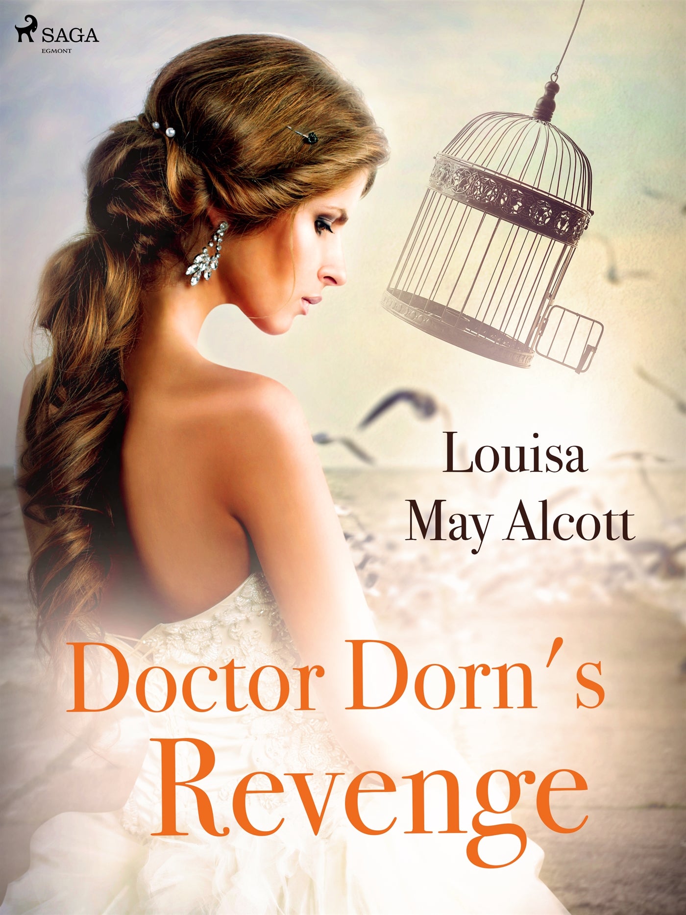 Doctor Dorn's Revenge – E-bok