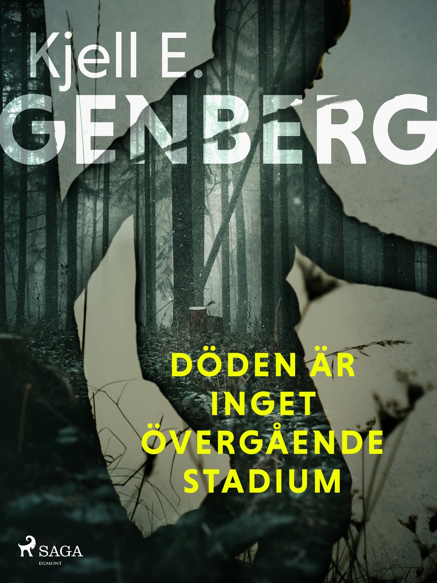 Döden är inget övergående stadium – E-bok