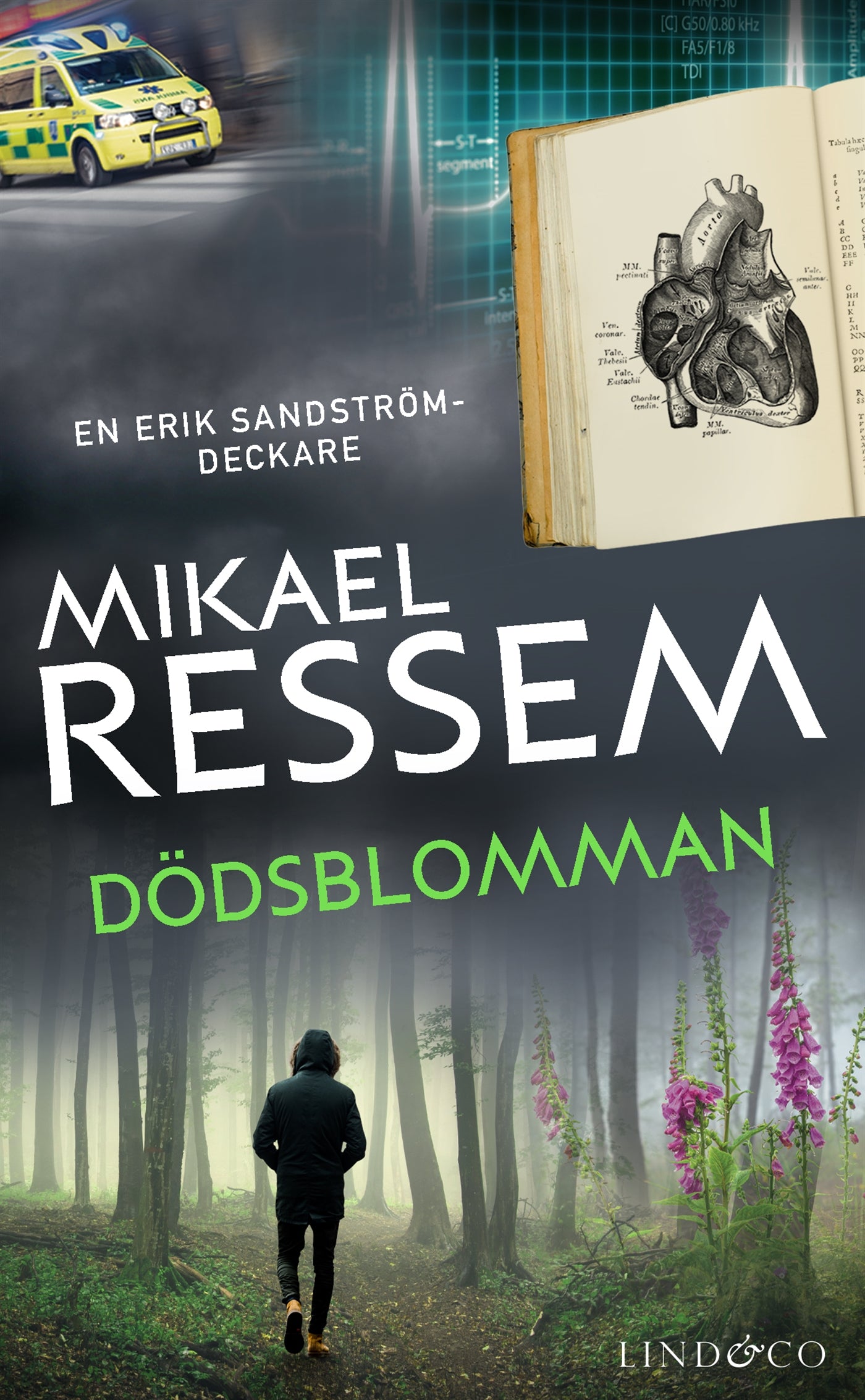 Dödsblomman – E-bok