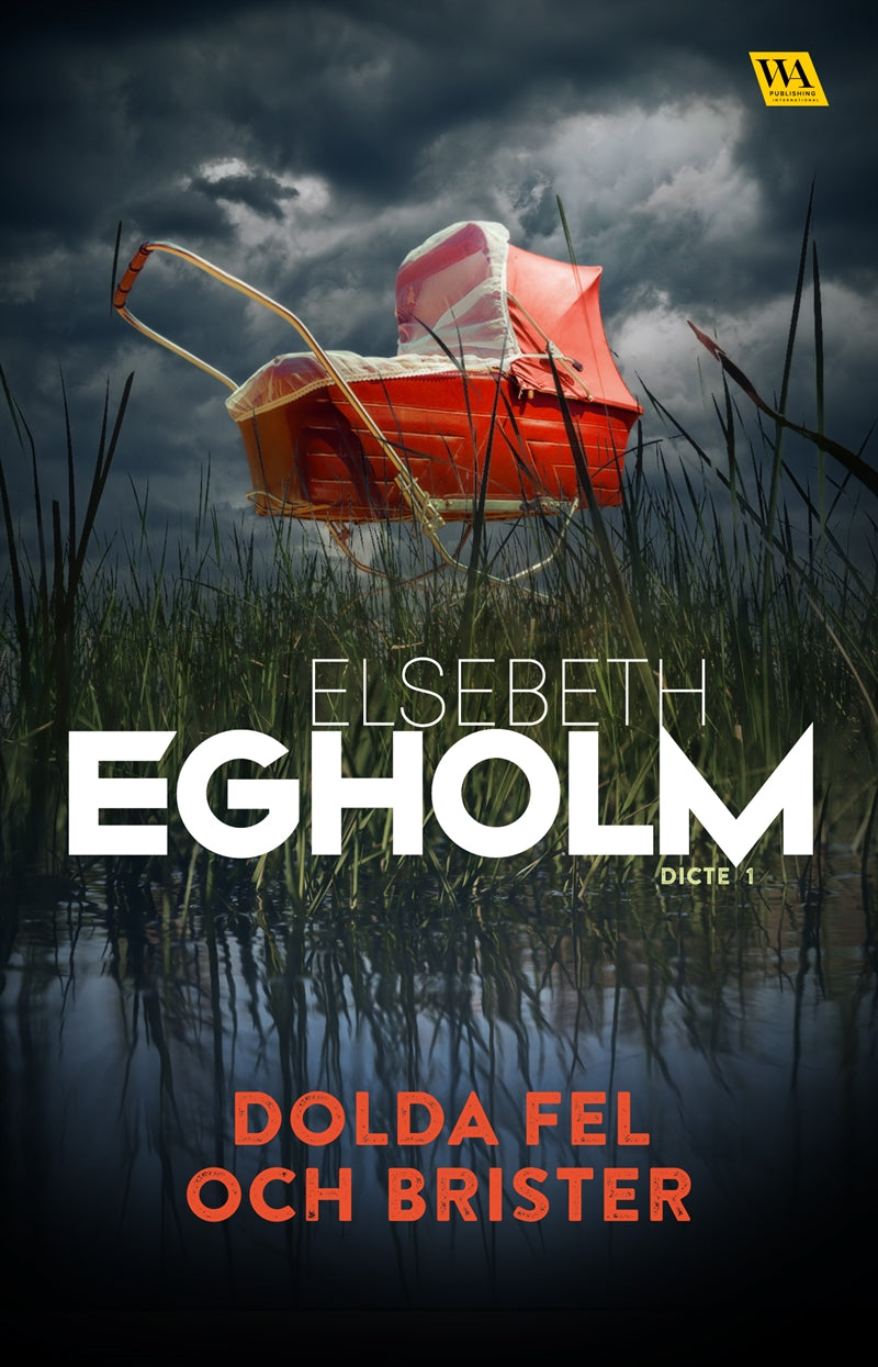 Dolda fel och brister – E-bok