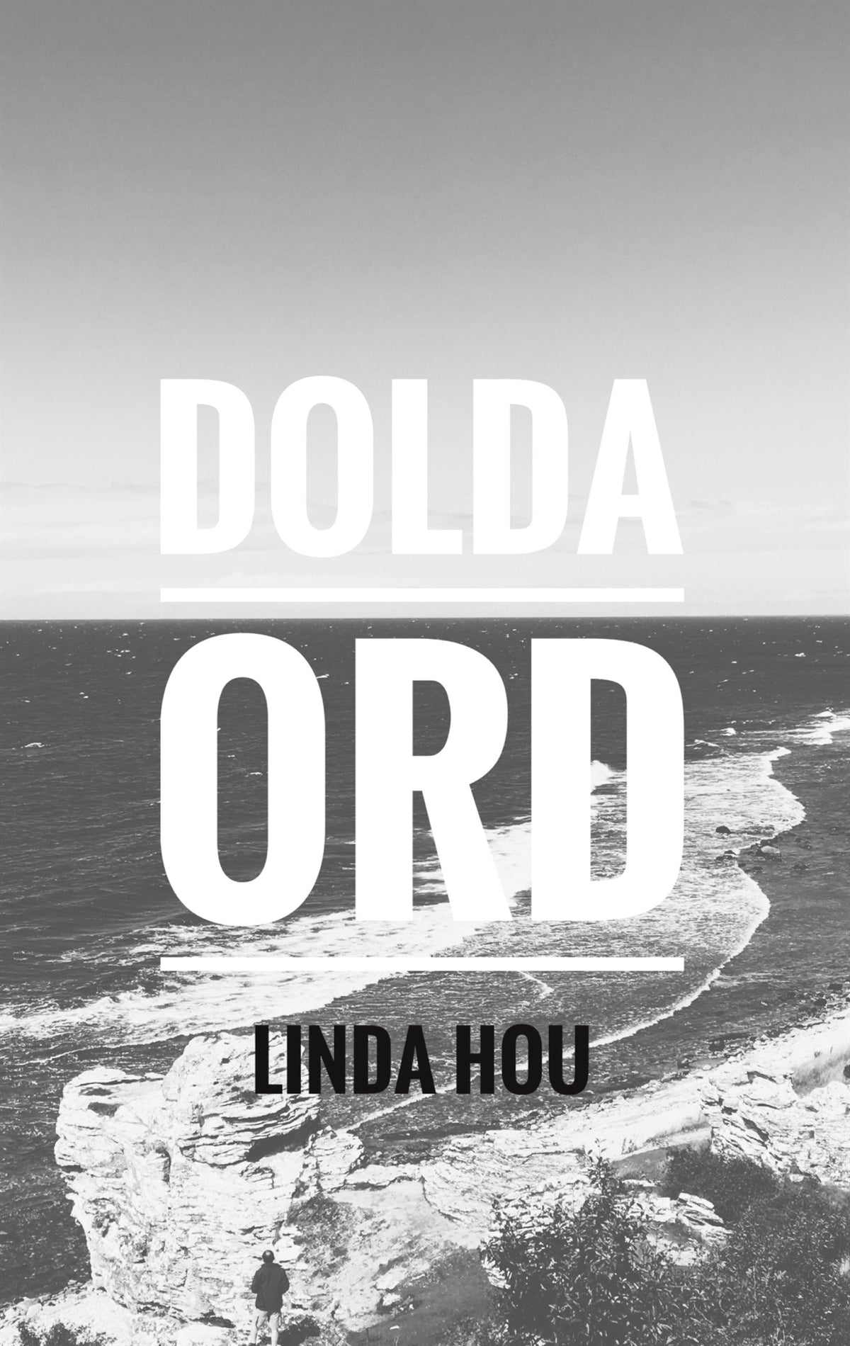Dolda ord – E-bok