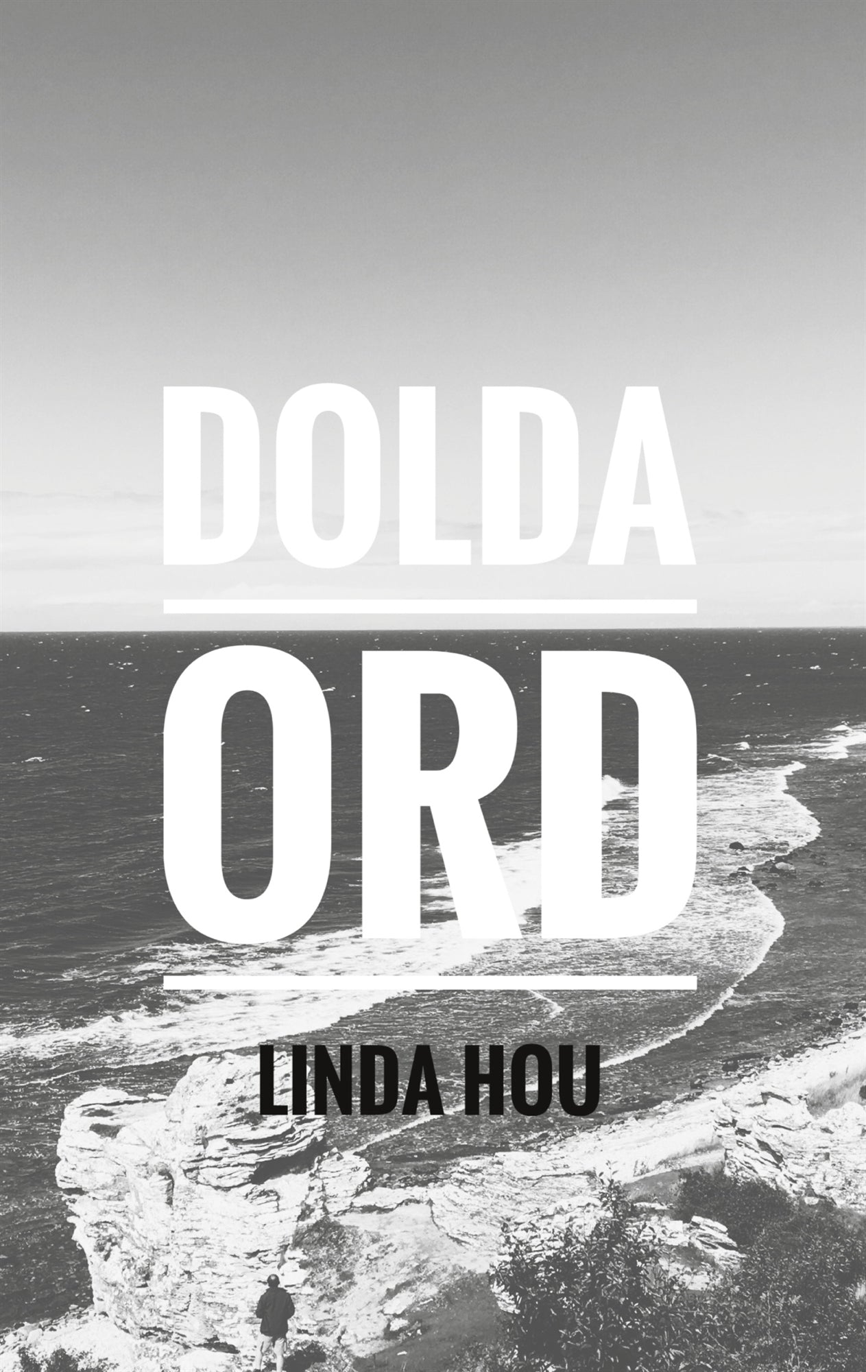 Dolda ord – E-bok