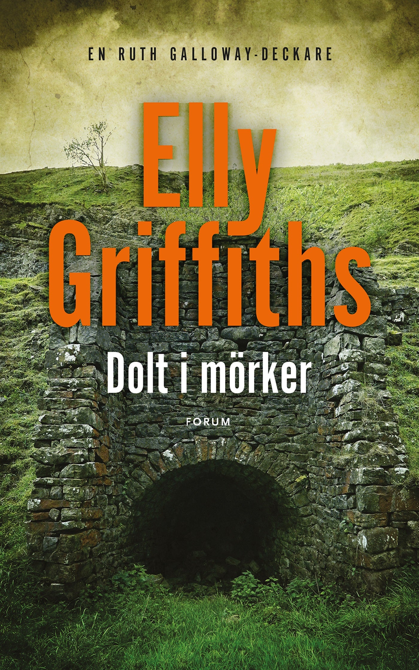Dolt i mörker – E-bok