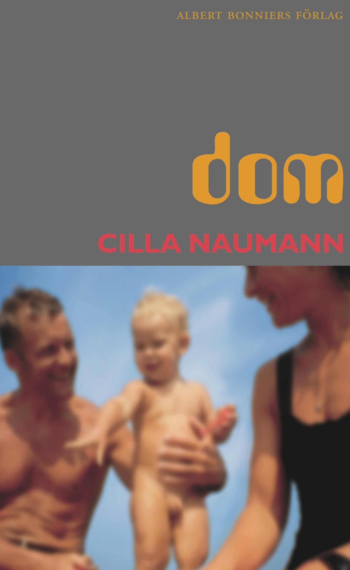 Dom – E-bok