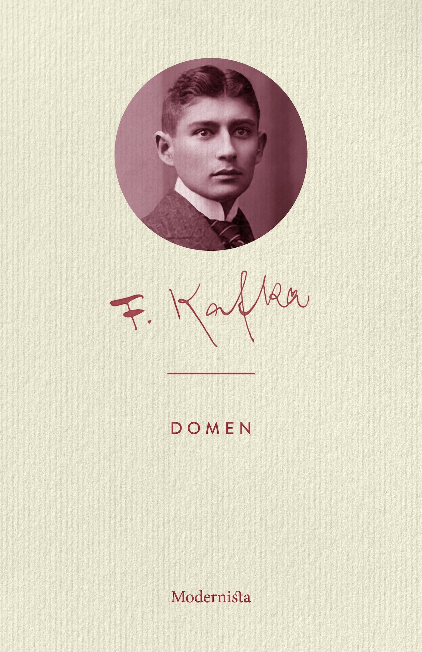 Domen – E-bok