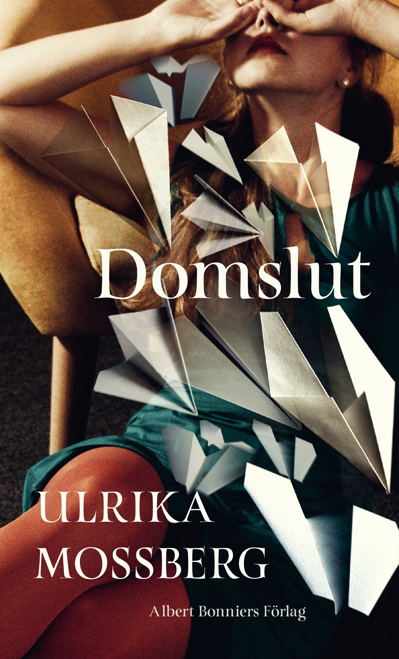 Domslut – E-bok