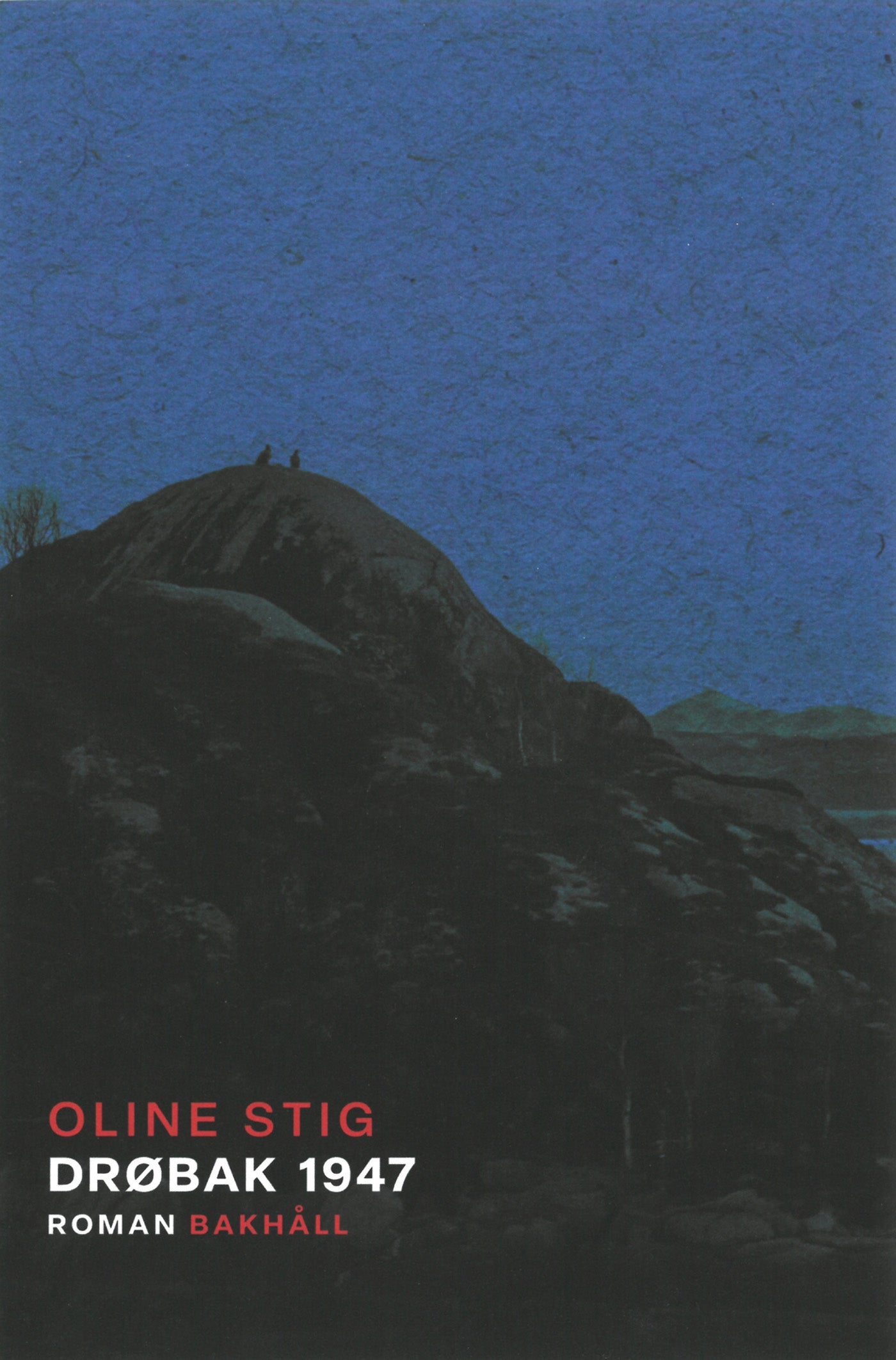 Drøbak 1947 – E-bok