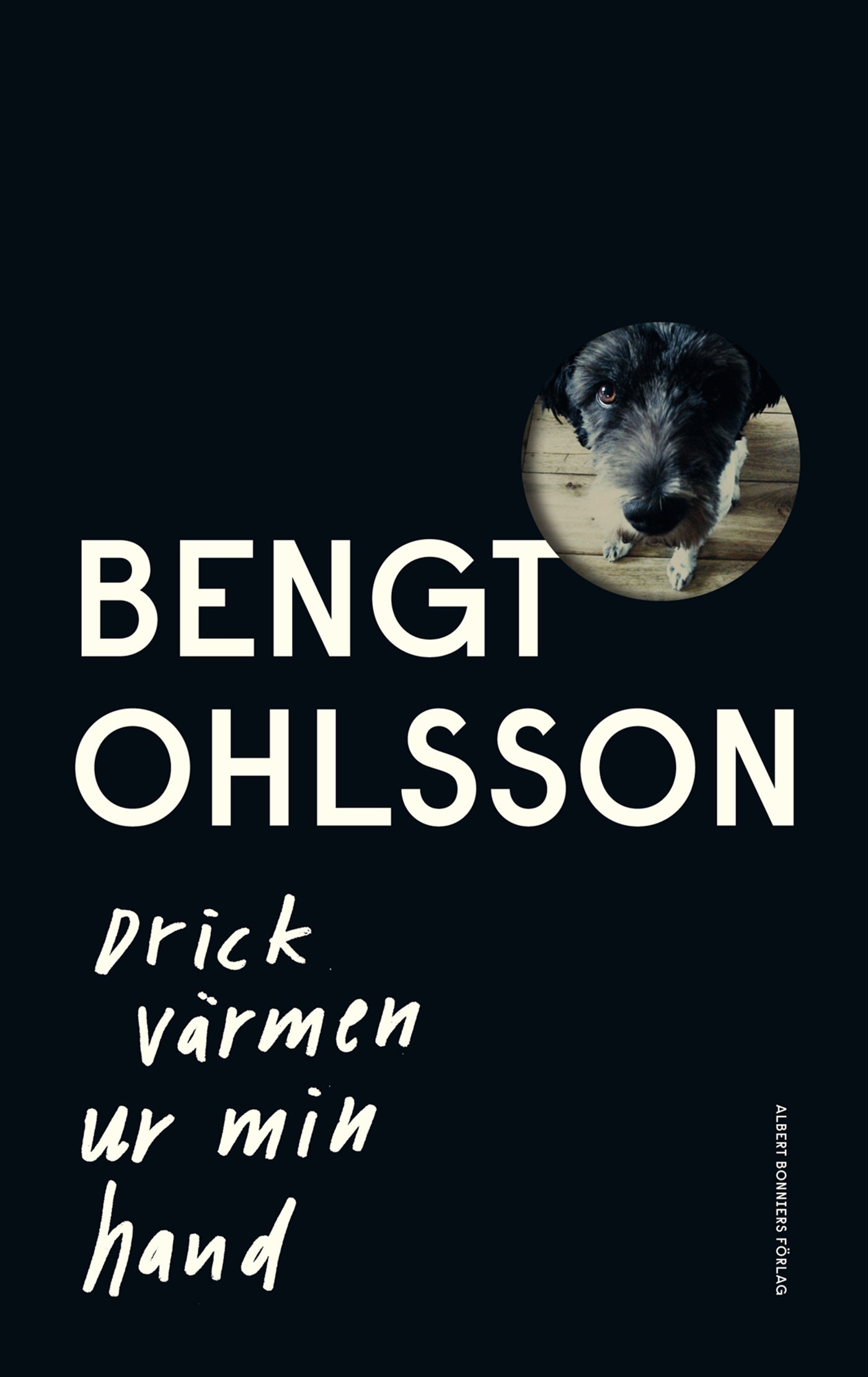 Drick värmen ur min hand – E-bok