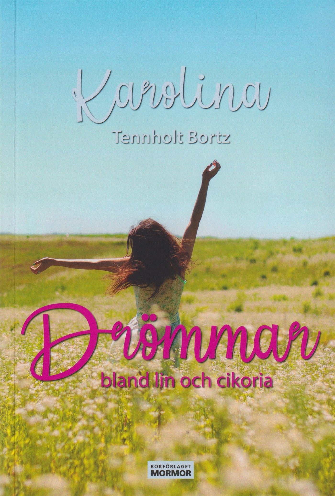Drömmar bland lin och cikoria – E-bok