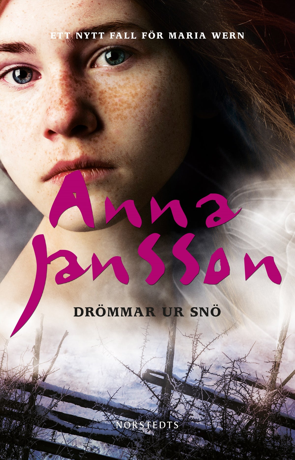 Drömmar ur snö – E-bok