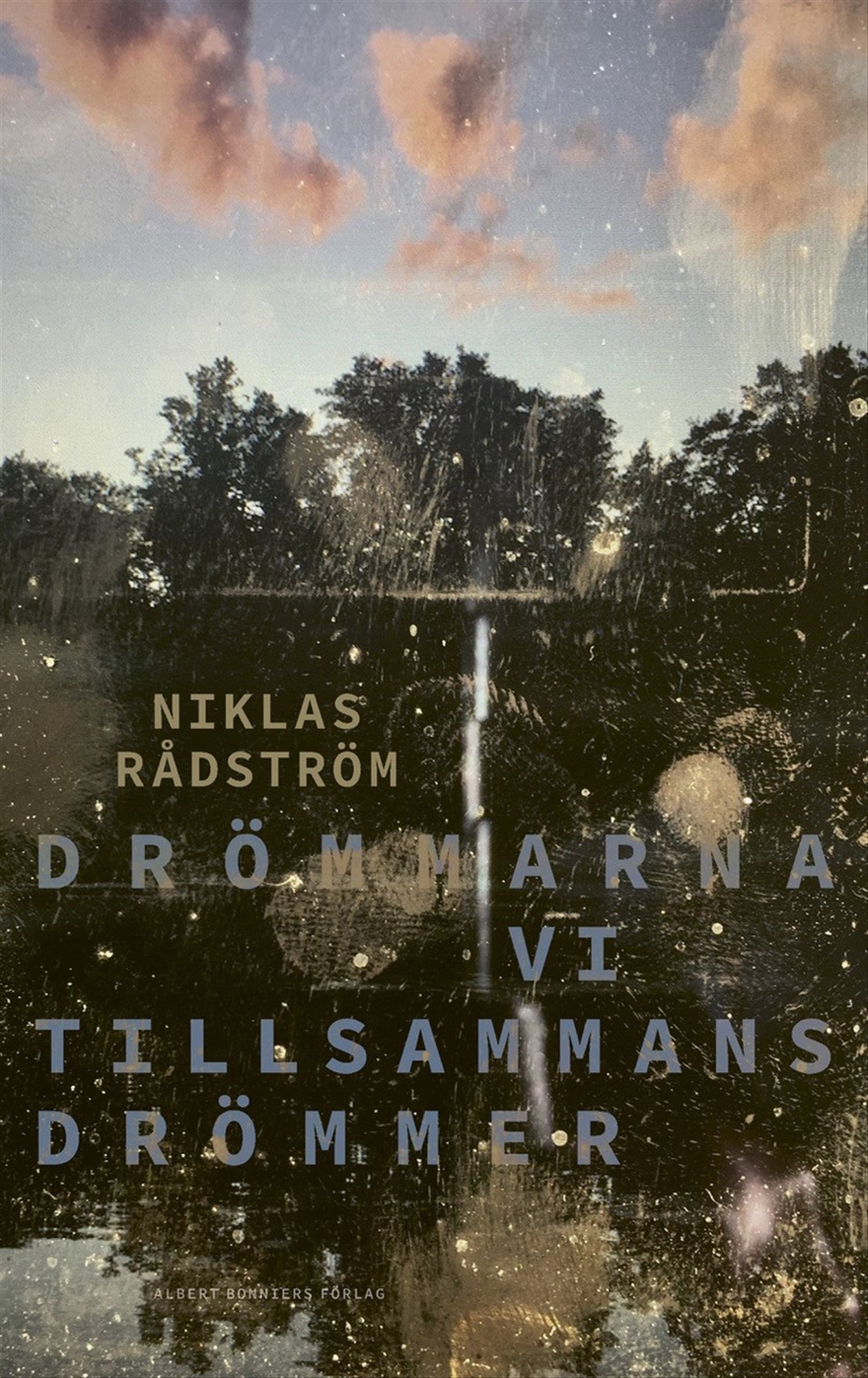 Drömmarna vi tillsammans drömmer – E-bok